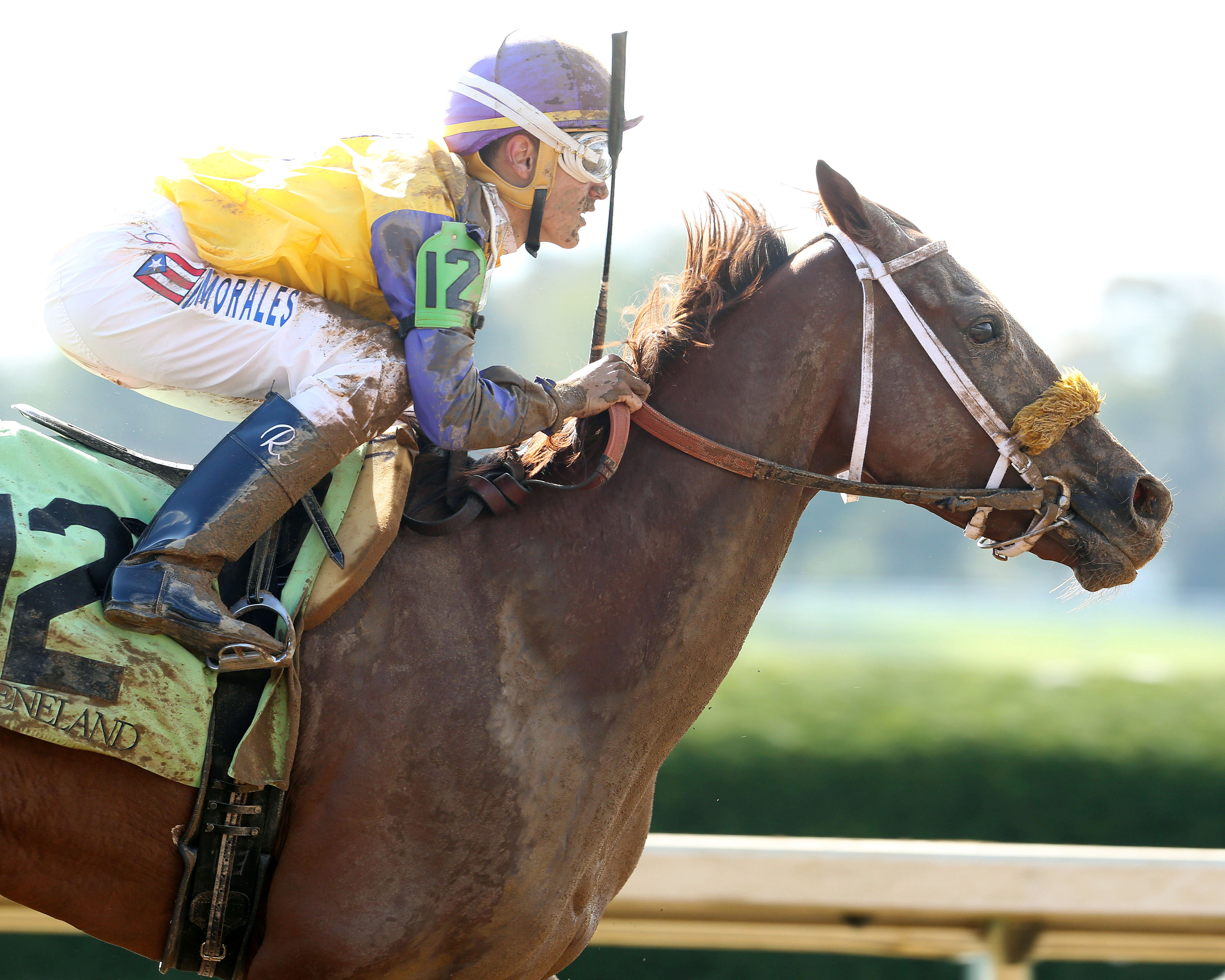 Edgar Morales aboard Star Dog for first career win