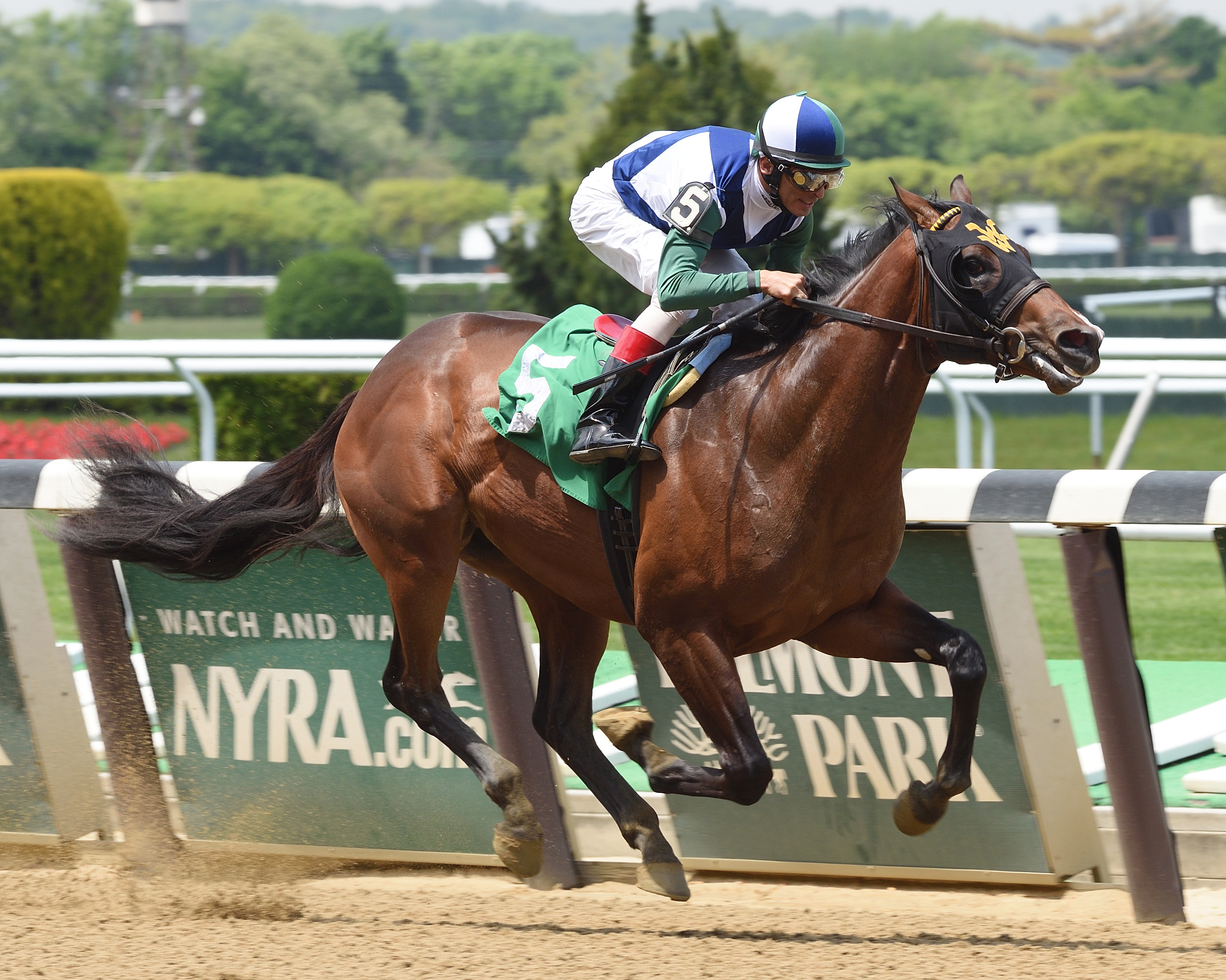 Star Empire wins a maiden race on May 19