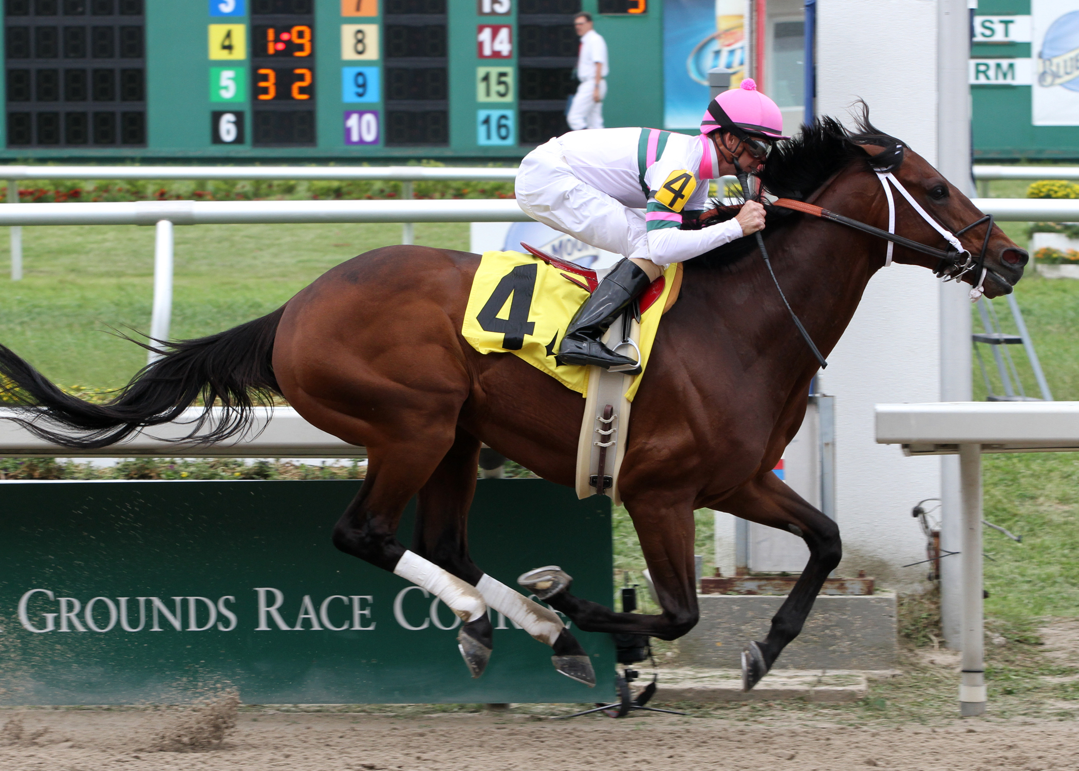 Star Guitar wins Costa Rising