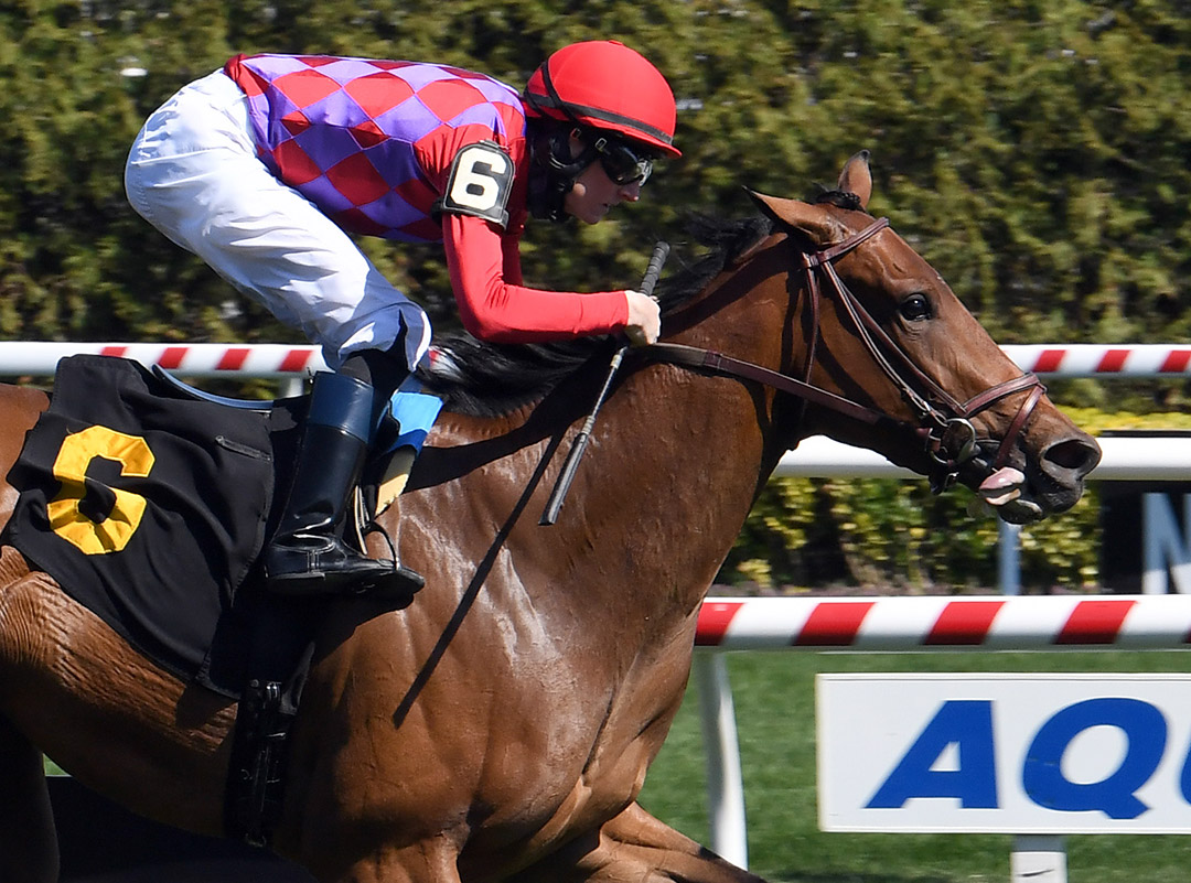 Star Devine wins an April 8 maiden at Aqueduct Racetrack