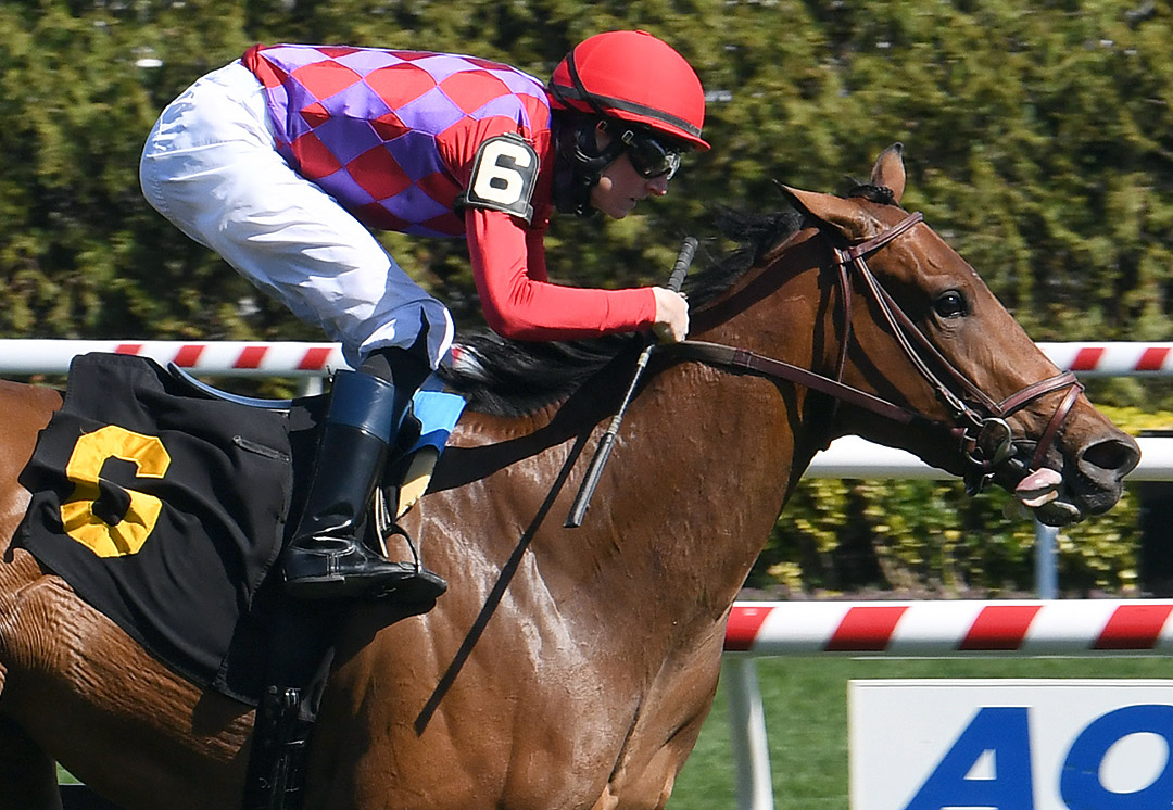 Star Devine wins an April 8 maiden at Aqueduct Racetrack