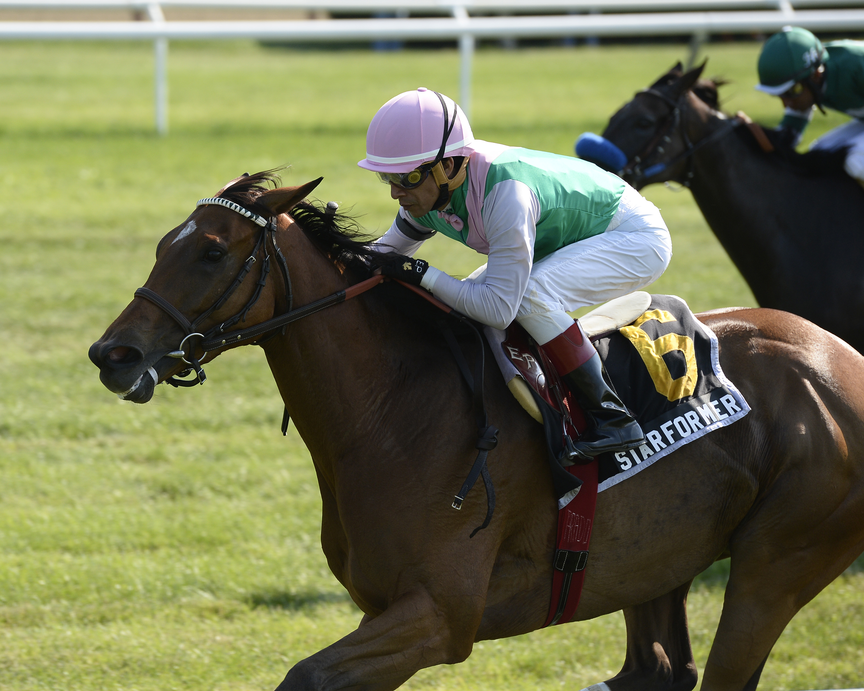Starformer/New York Stakes