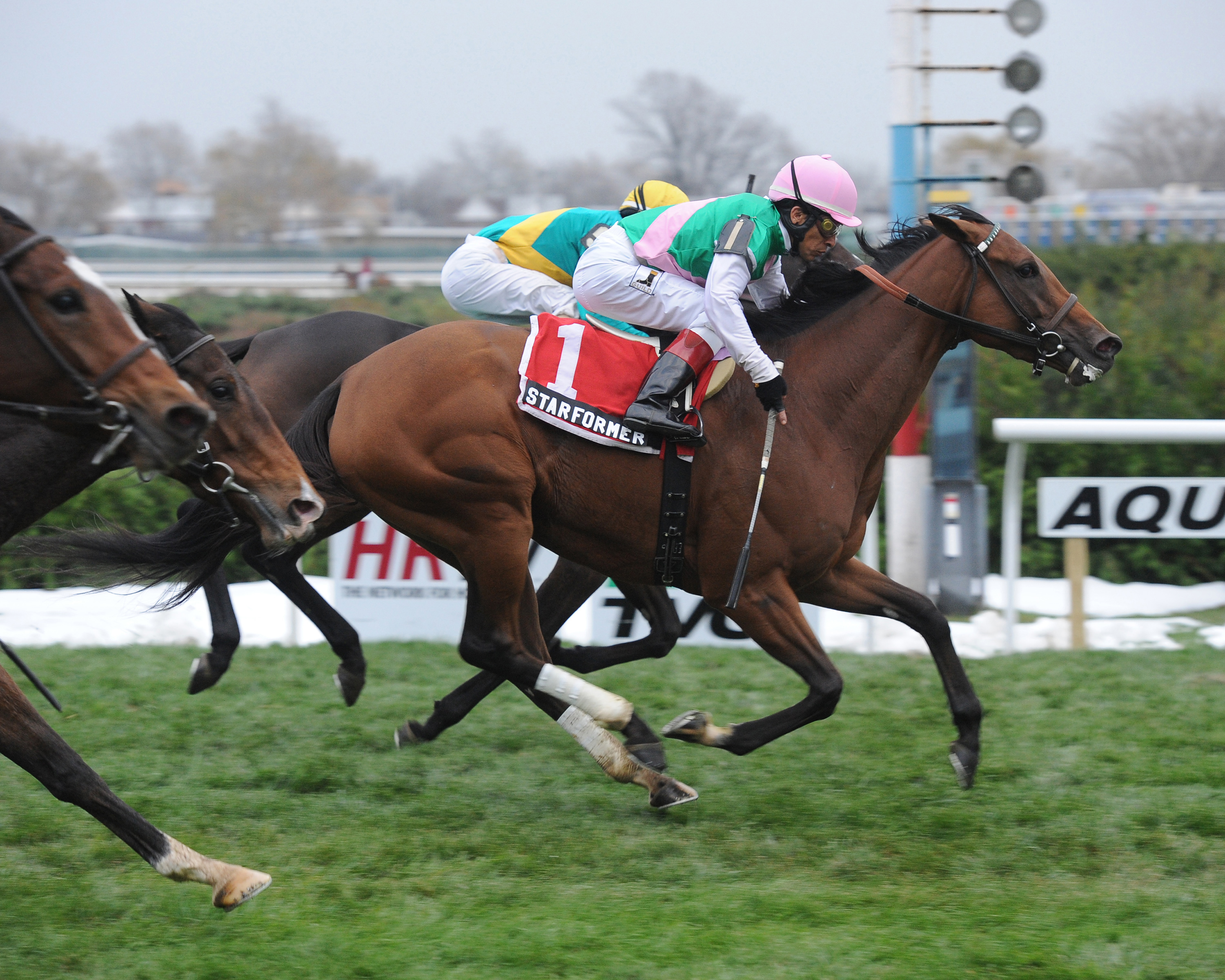 Starformer, Long Island Handicap