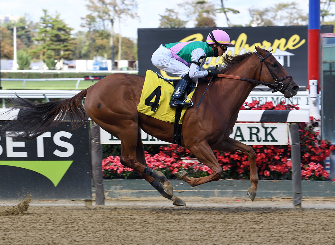 Starfront wins an October 2020 maiden race at Belmont Park