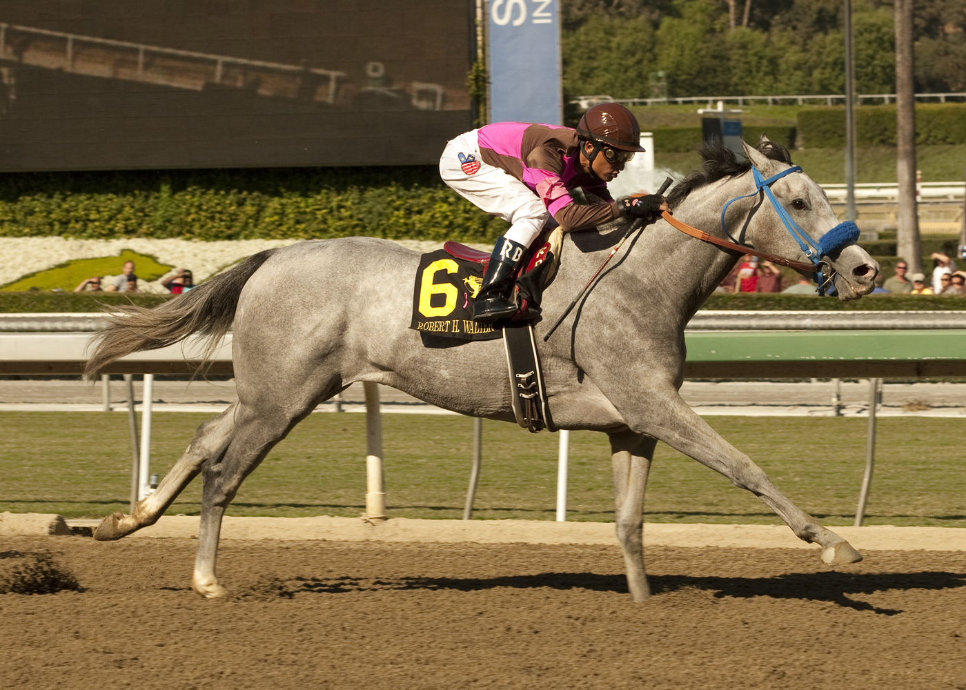 Starlight Magic 10-29-2011