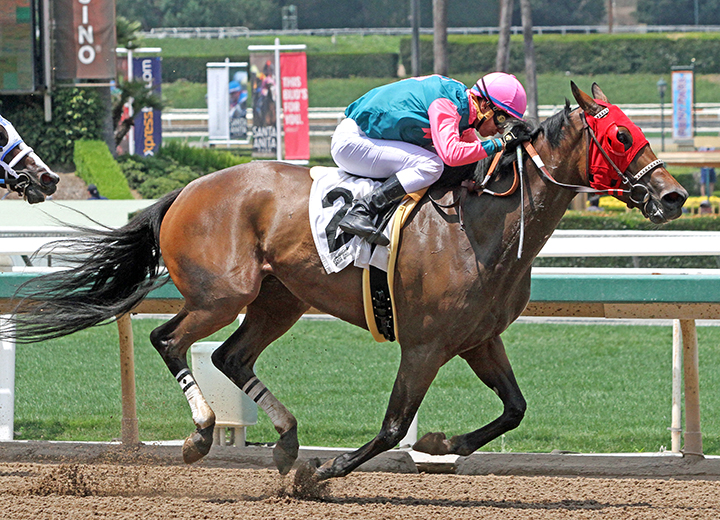 Starr of Quality wins the 2019 Dream of Summer Stakes at Santa Anita Park