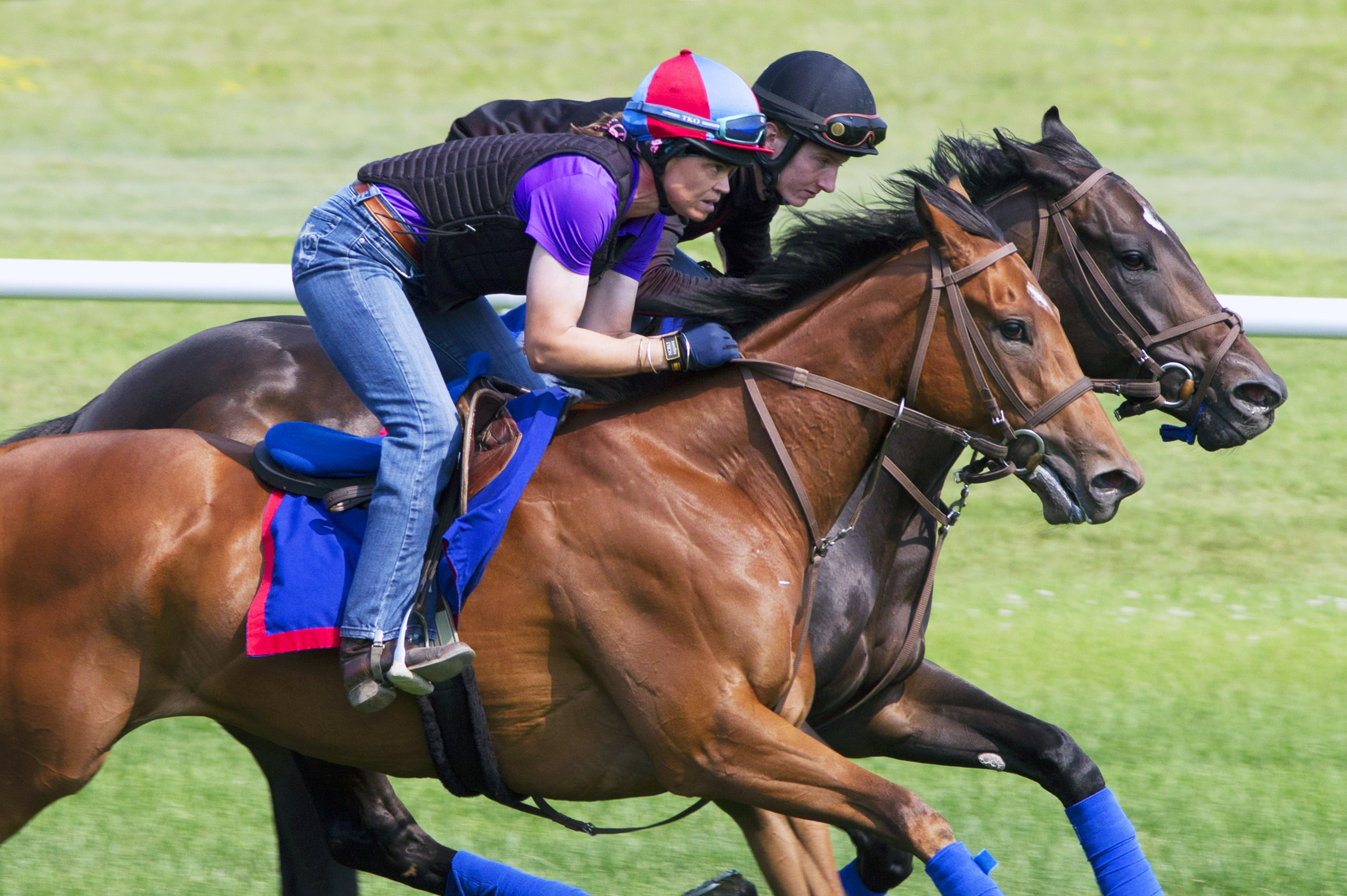 Stars Above Me trains with Angel of Mercy on July 25