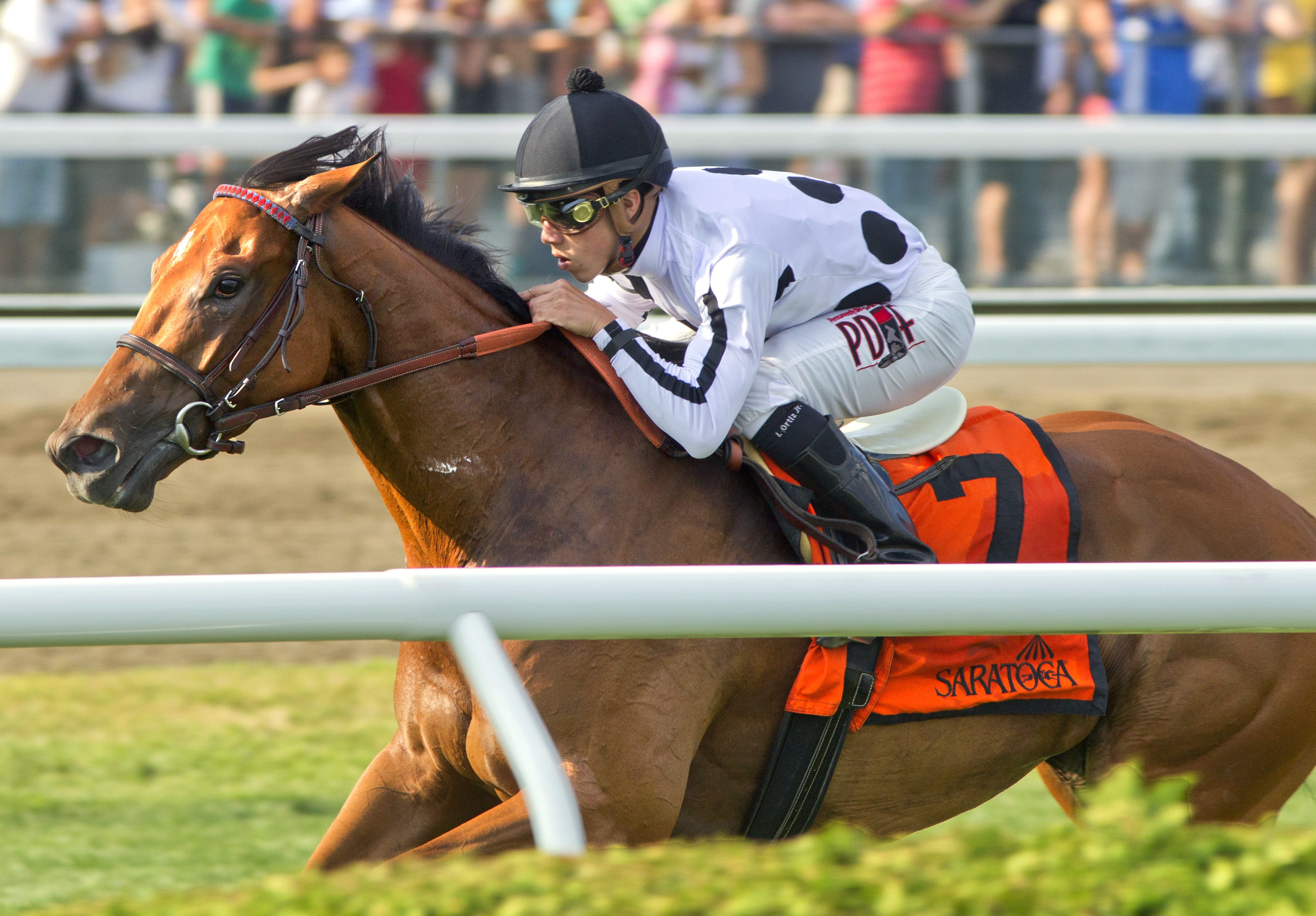 Stars Above Me wins the Coronation Cup
