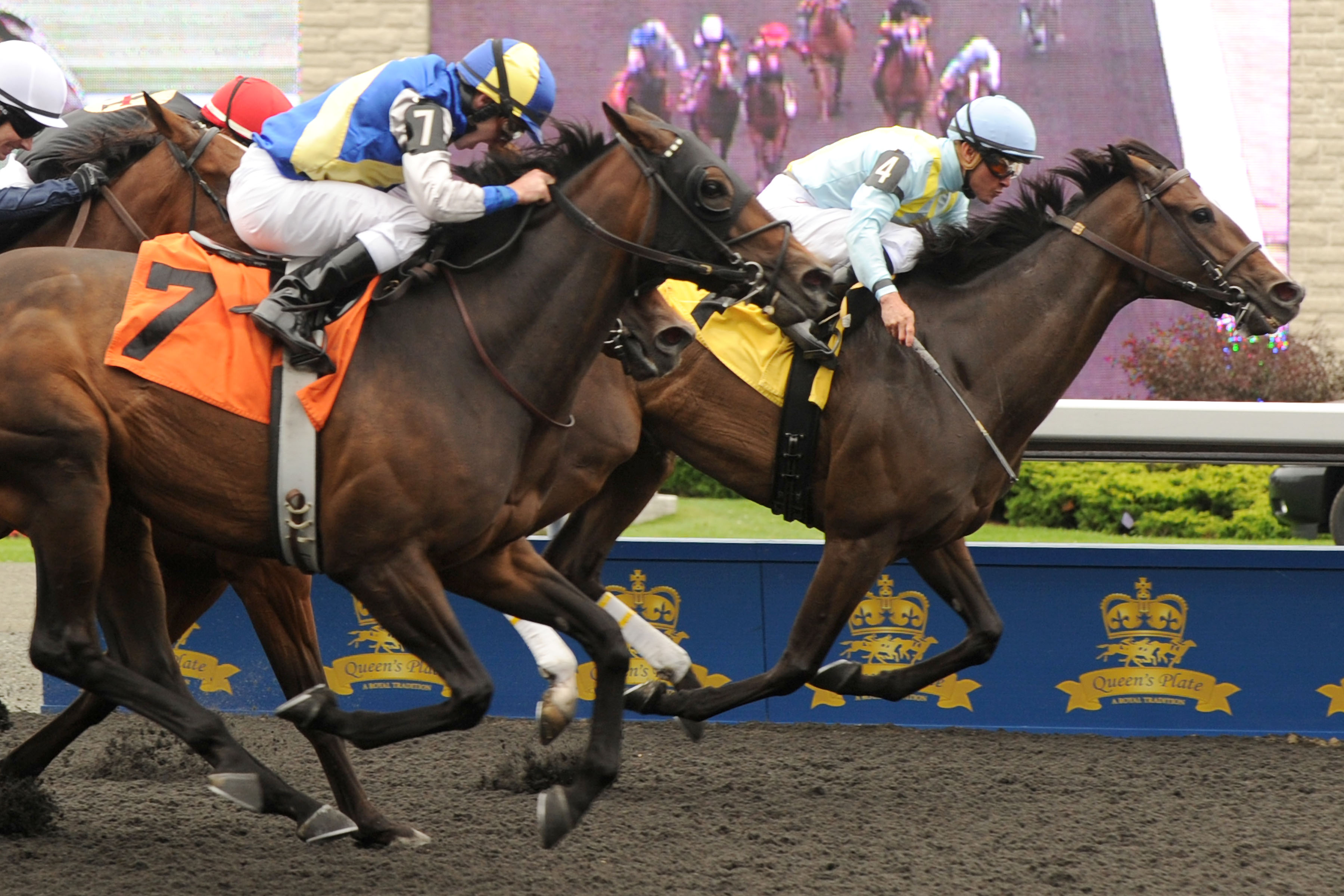 Stars to Shine/Trillium Stakes