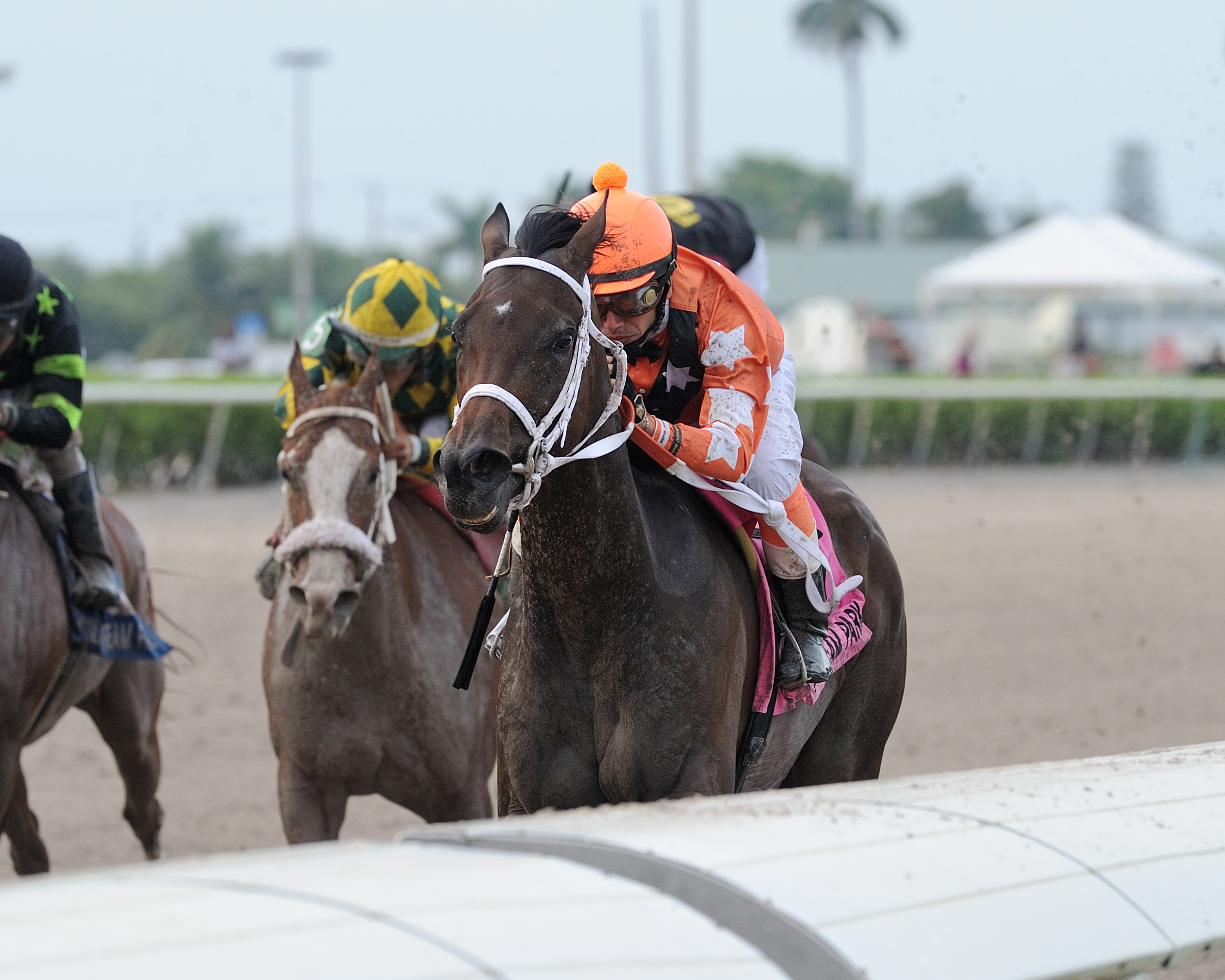 Starship Bonita wins 2018 Sheer Madness
