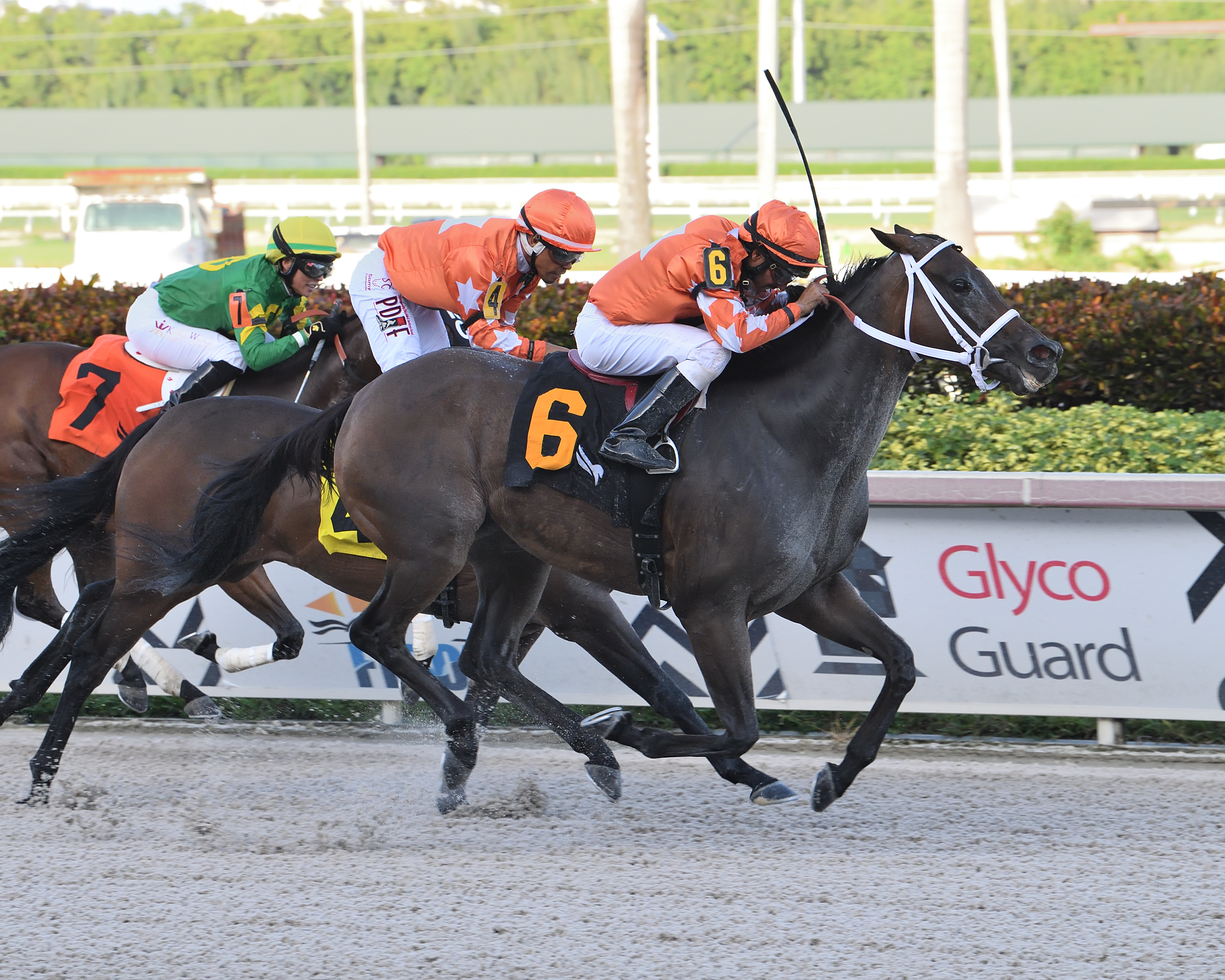Starship Bonita (6) wins Sheer Drama 9-11-2021