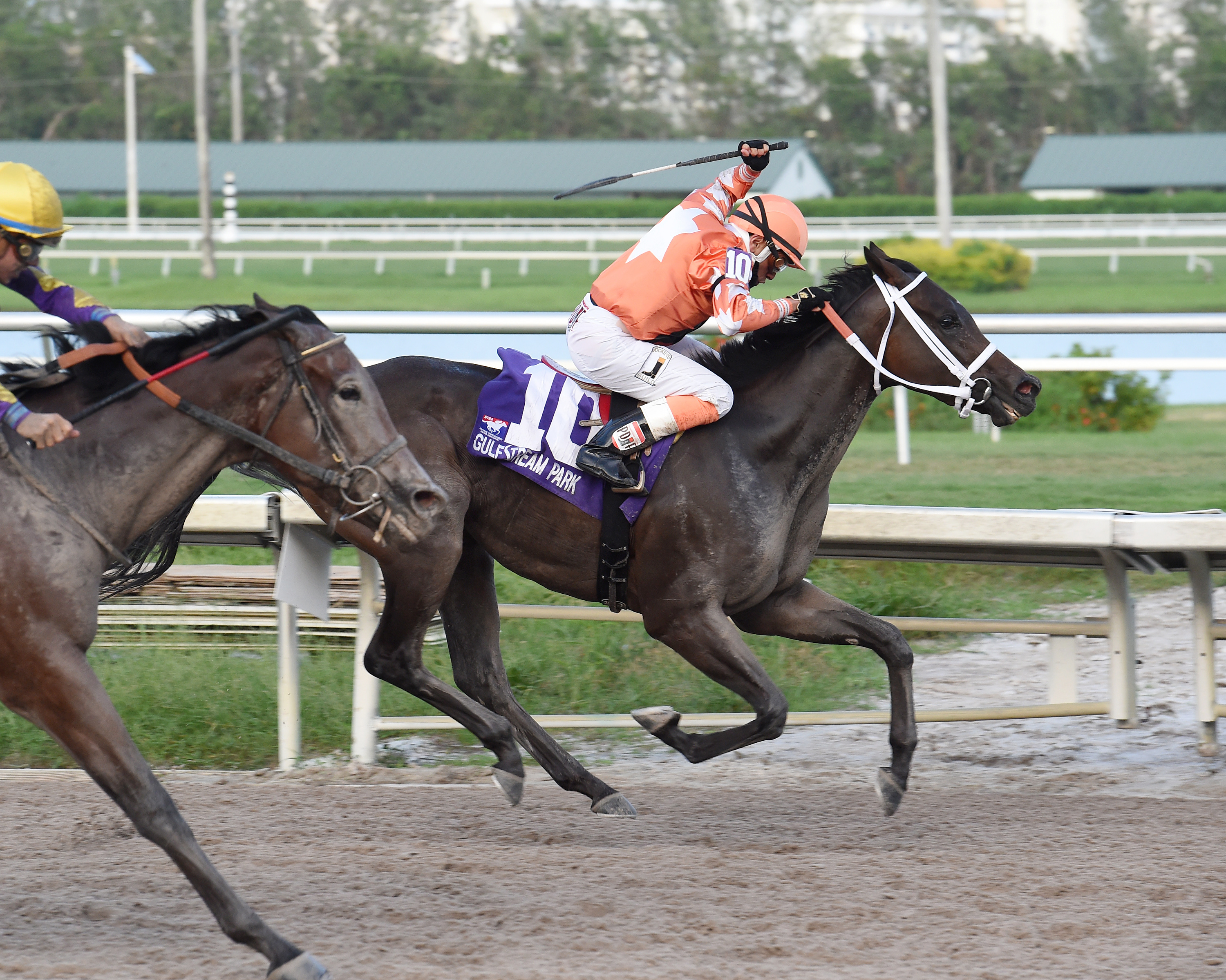 Starship Bonita wins the 2017 My Dear Girl Stakes