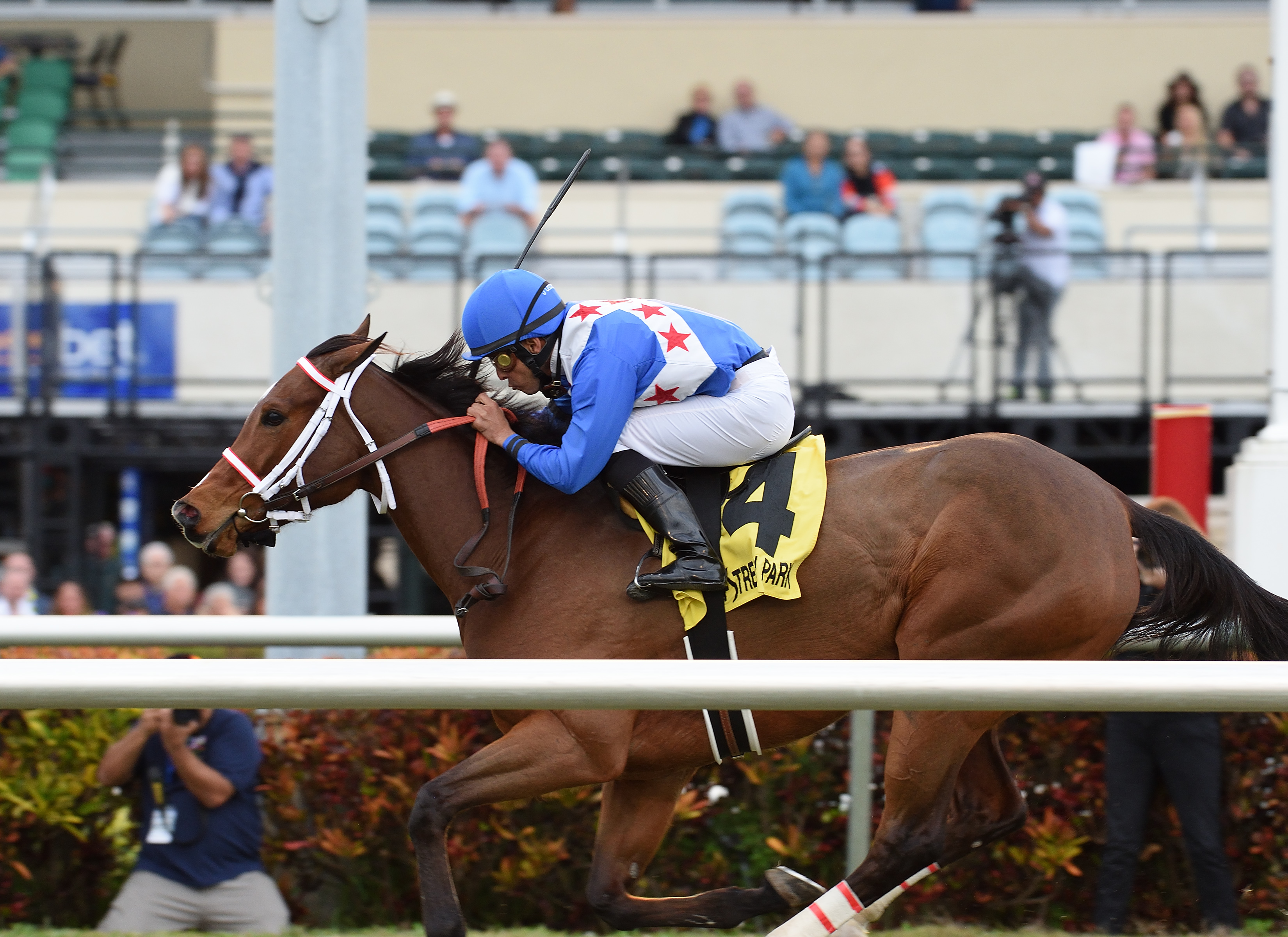 Starship Jubilee wins 2018 Sunshine Millions FM
