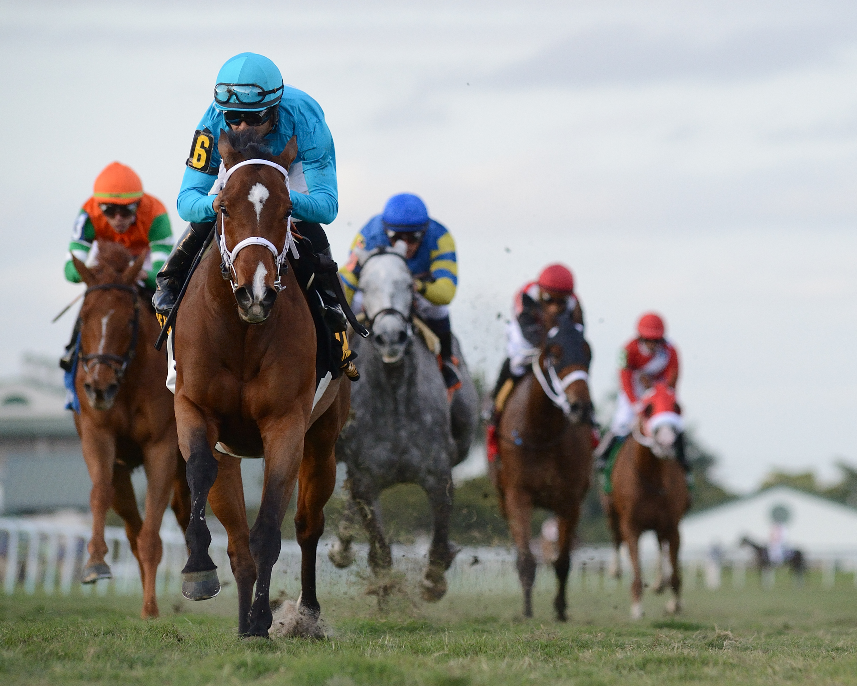 Starship Jubilee wins the 2020 Suwanee River Stakes