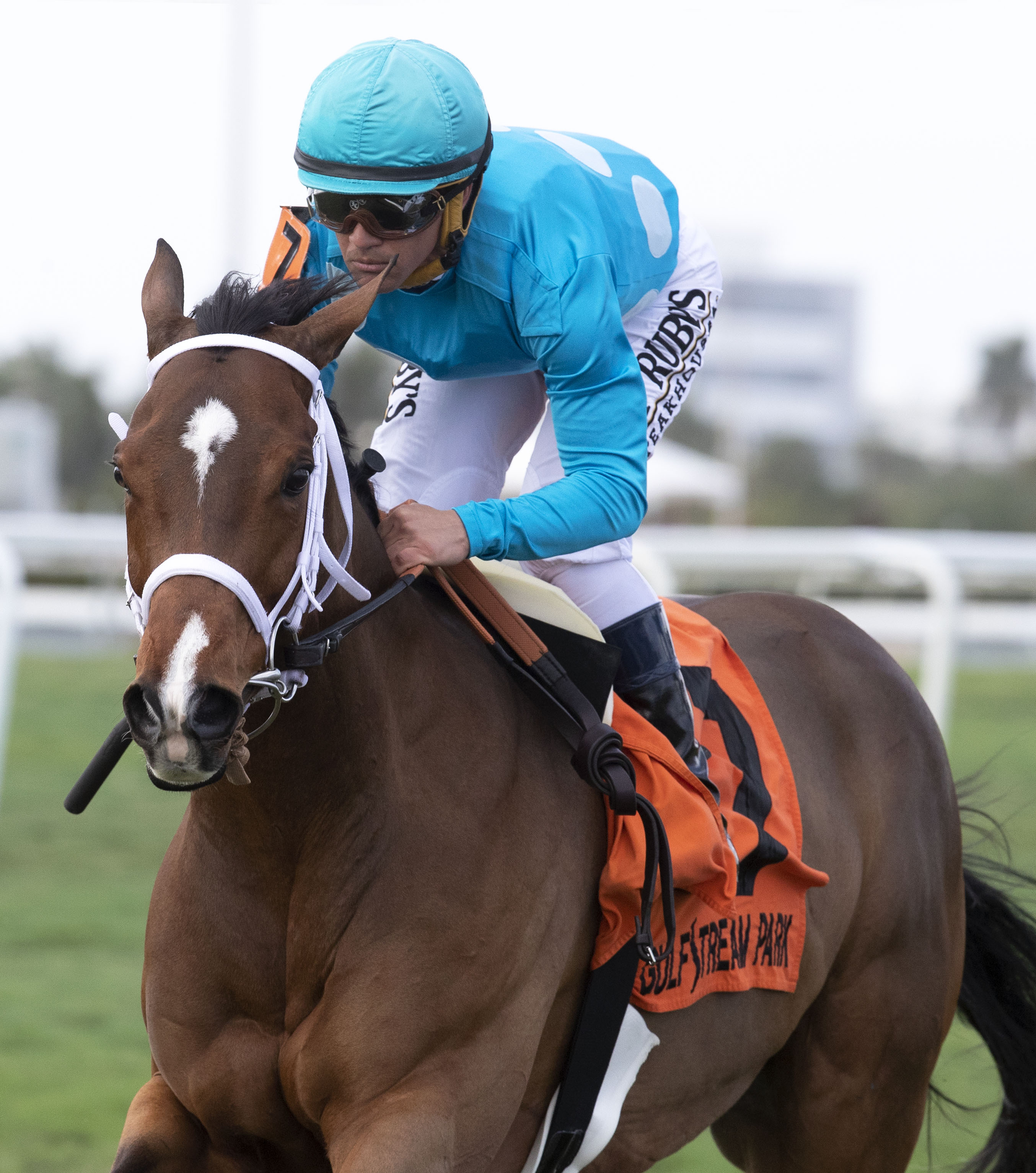 Starship Jubilee wins the 2020 Sunshine Millions FM Turf