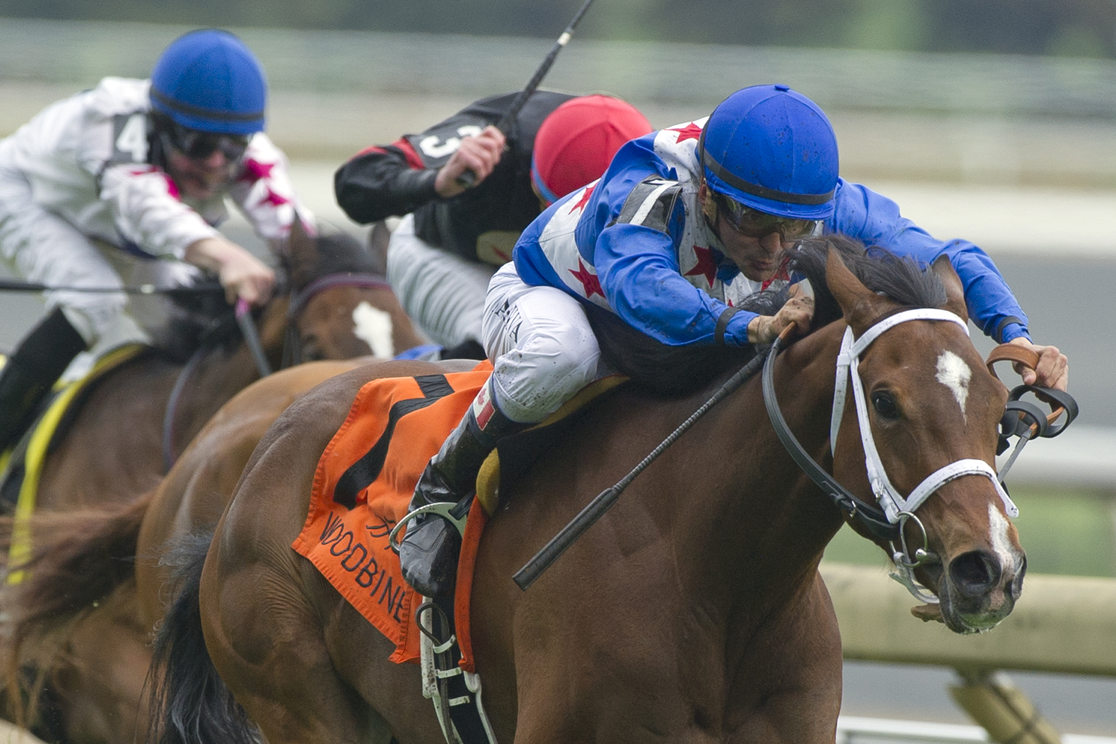 Starship Jubilee wins the Nassau Stakes