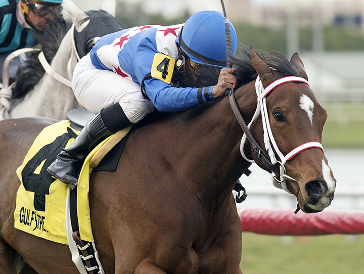 Starship Jubilee wins the 2018 Sunshine Millions Filly and Mare Turf