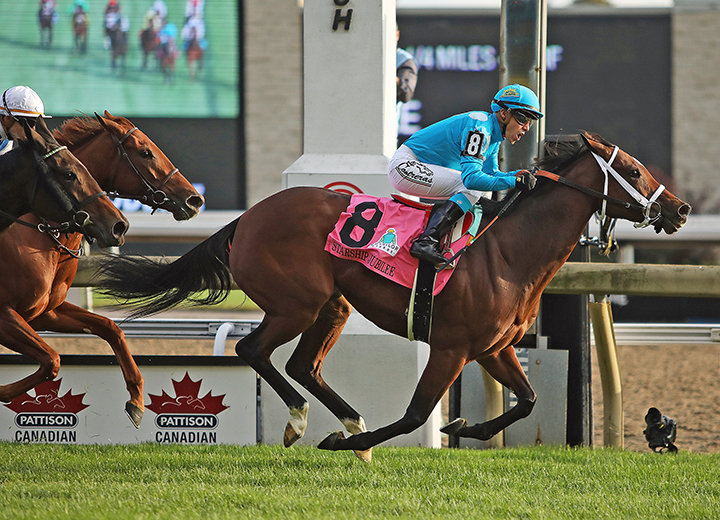 Starship Jubilee wins the 2019 E.P. Taylor Stakes at Woodbine Racetrack