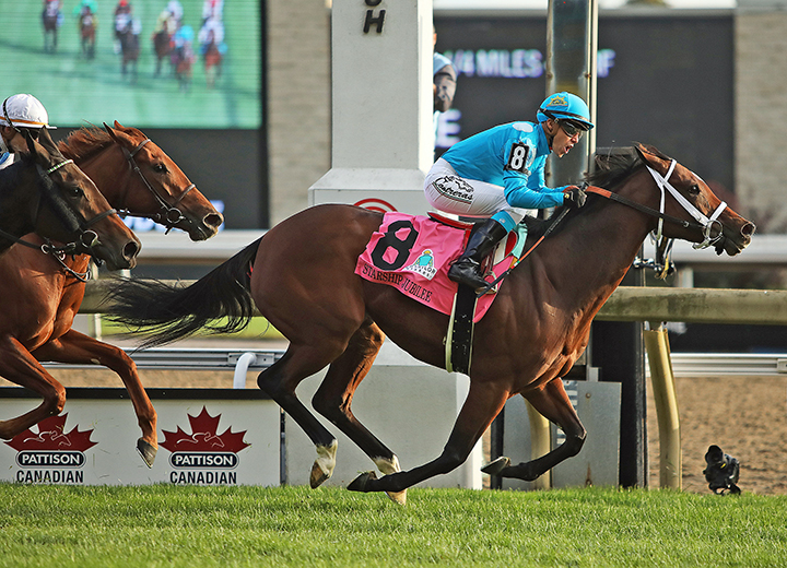 Starship Jubilee wins the 2019 E.P. Taylor Stakes at Woodbine Racetrack