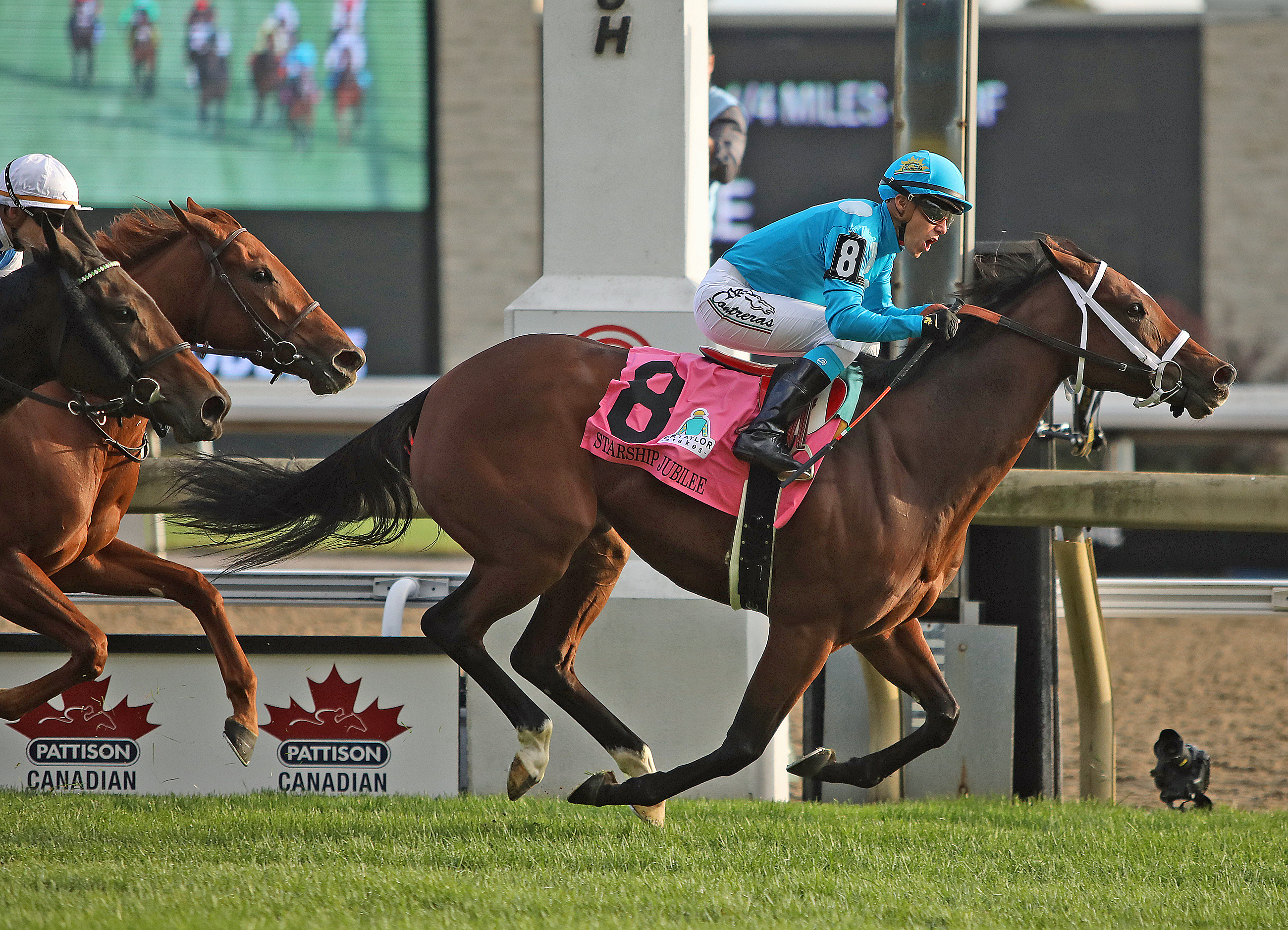 Starship Jubilee wins the 2019 E.P. Taylor