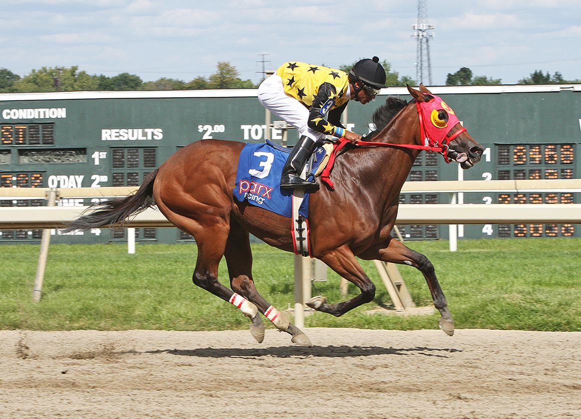 Starship Reina wins an Aug. 25 allowance race at Parx
