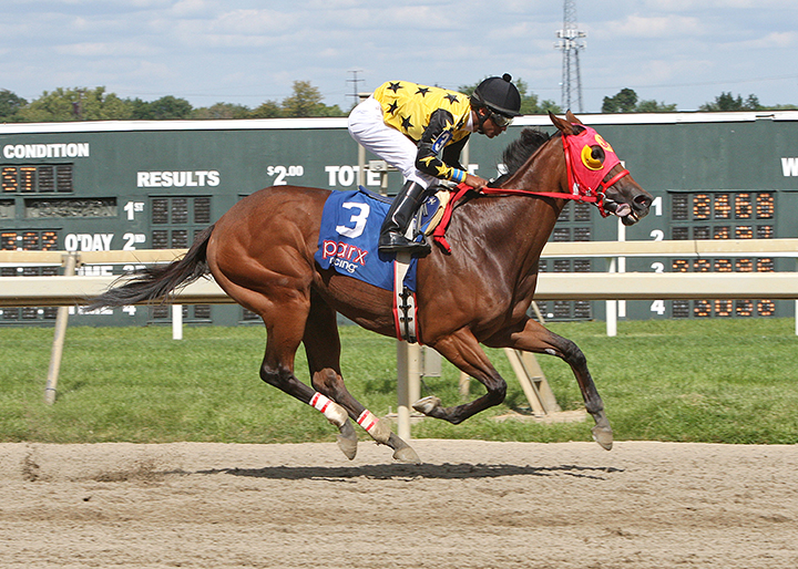 Starship Reina wins an Aug. 25 allowance race