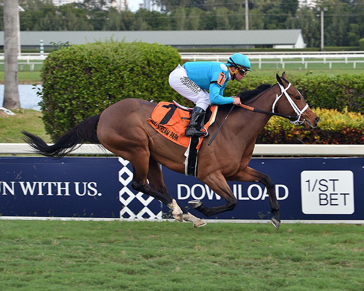 Starship Jubilee wins the 2020 Sunshine Millions Filly and Mare Turf at Gulfstream Park