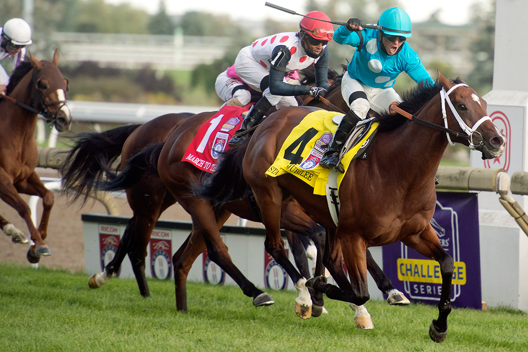 Starship Jubilee wins the 2020 Woodbine Mile at Woodbine