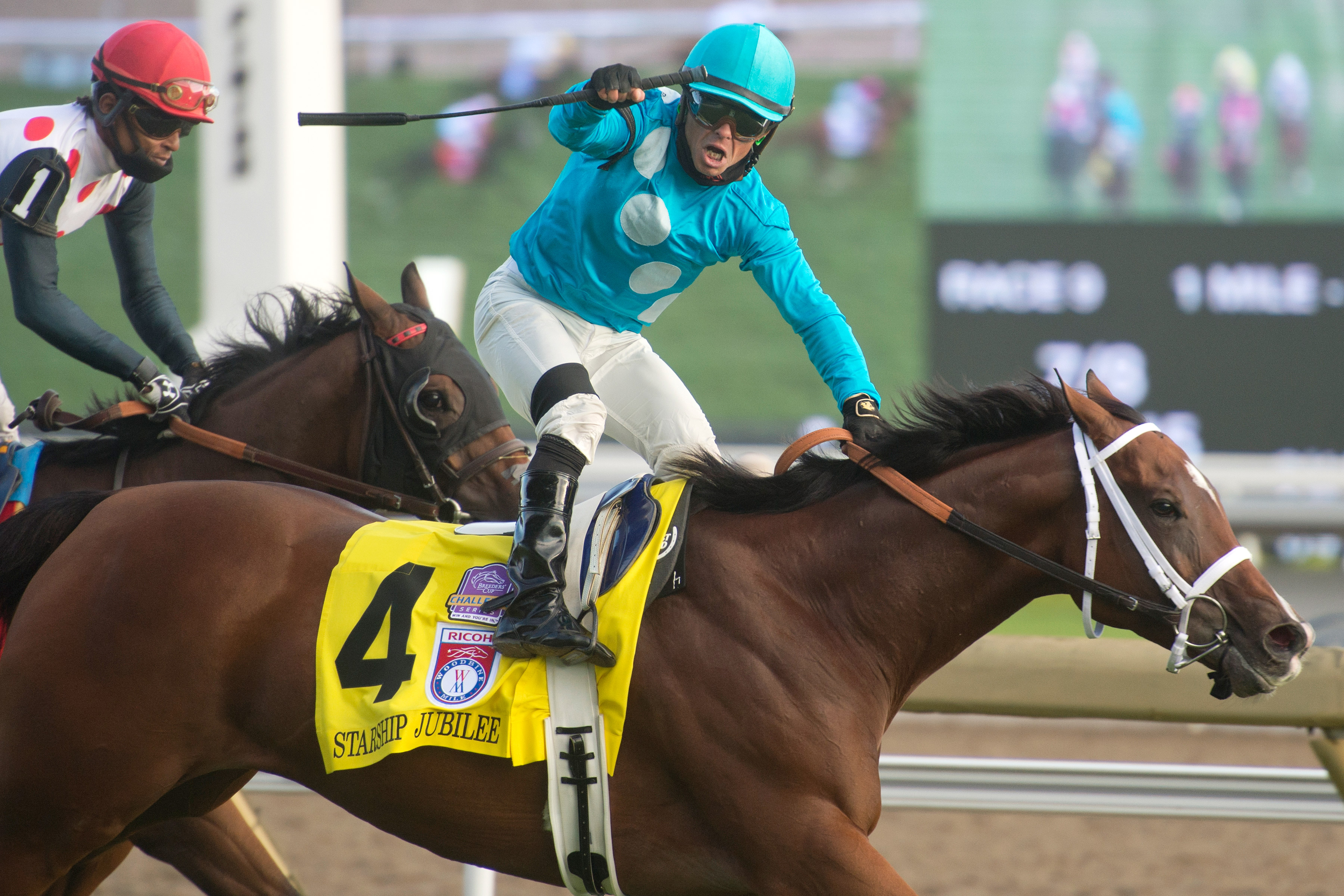Starship Jubilee wins the Woodbine Mile at Woodbine