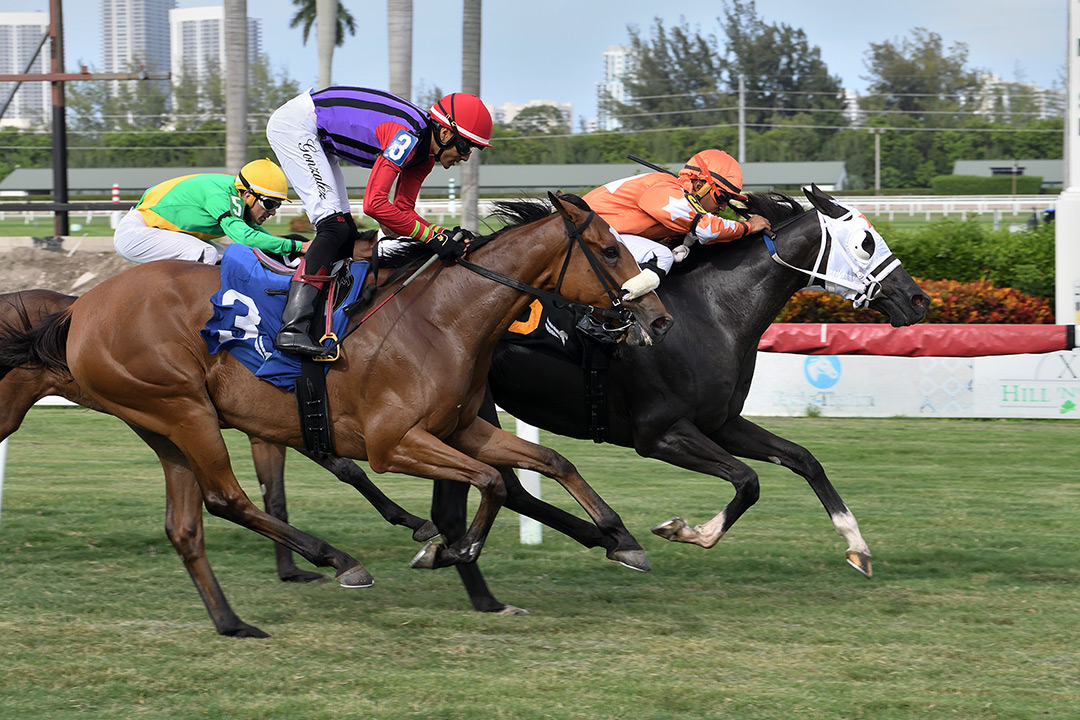 Starship Nterprise (6) wins the 2021 Martha Washington Stakes at Gulfstream
