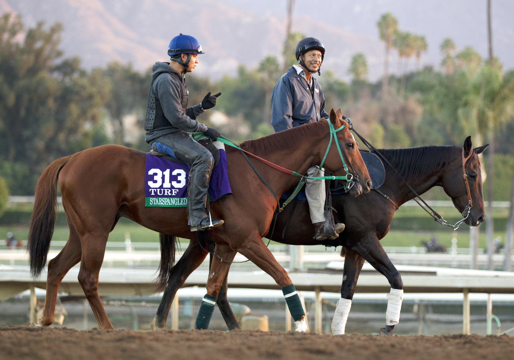 Starspangled Heat at Santa Anita on Oct. 24
