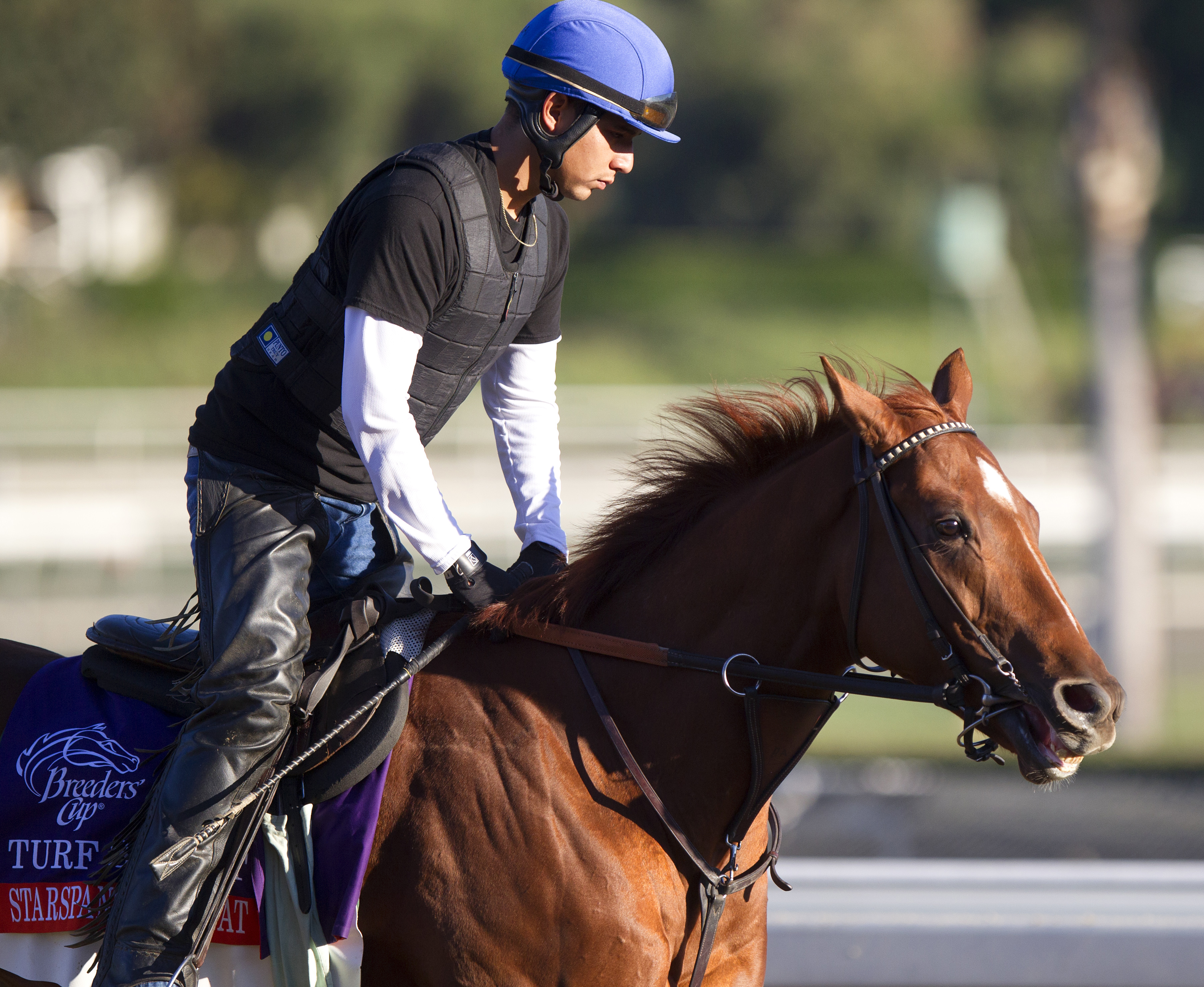 Starspangled Heat