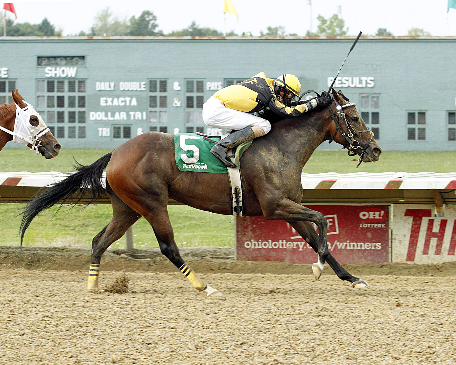 Startin Something wins the 2012 Rose DeBartolo