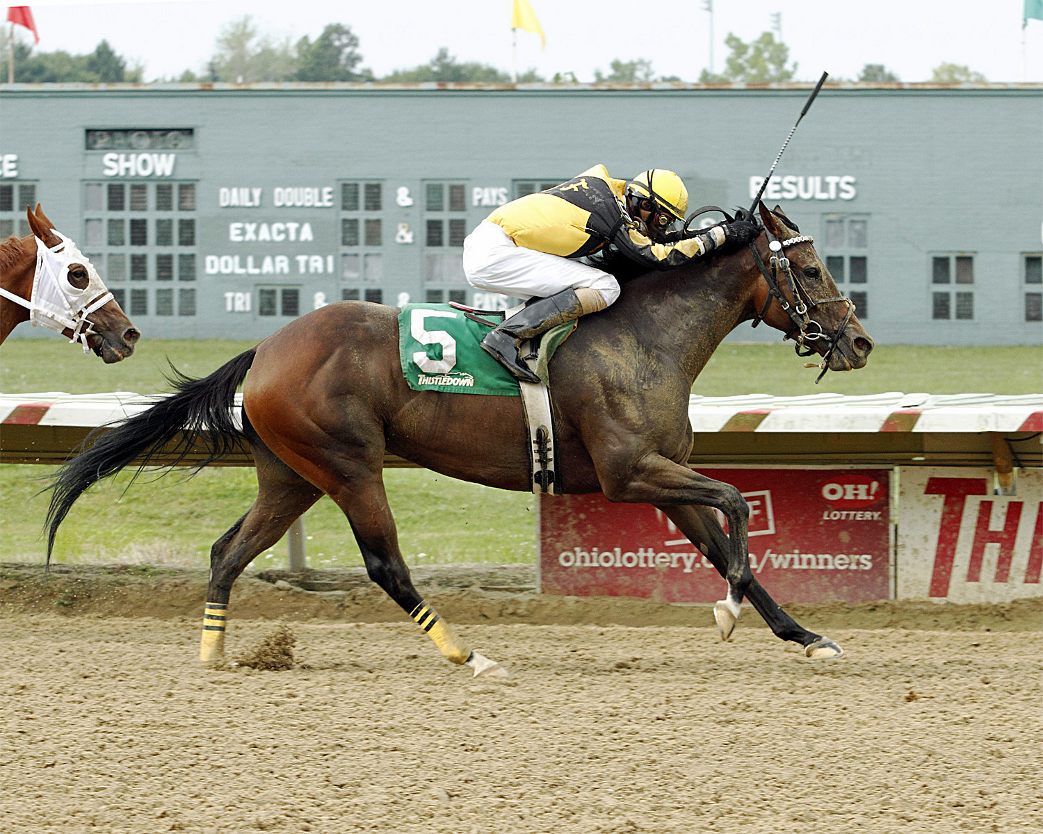 Startin Something wins the 2012 Rose DeBartolo Stakes