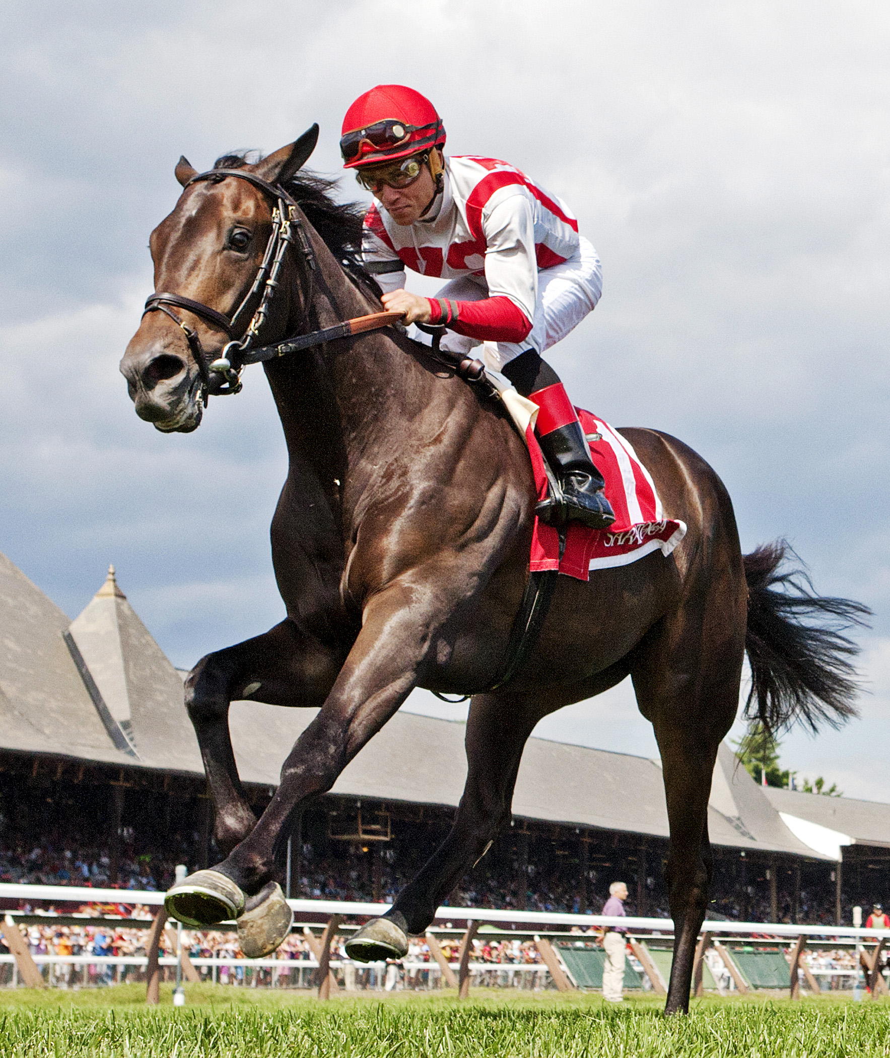 Startup Nation wins the With Anticipation Stakes