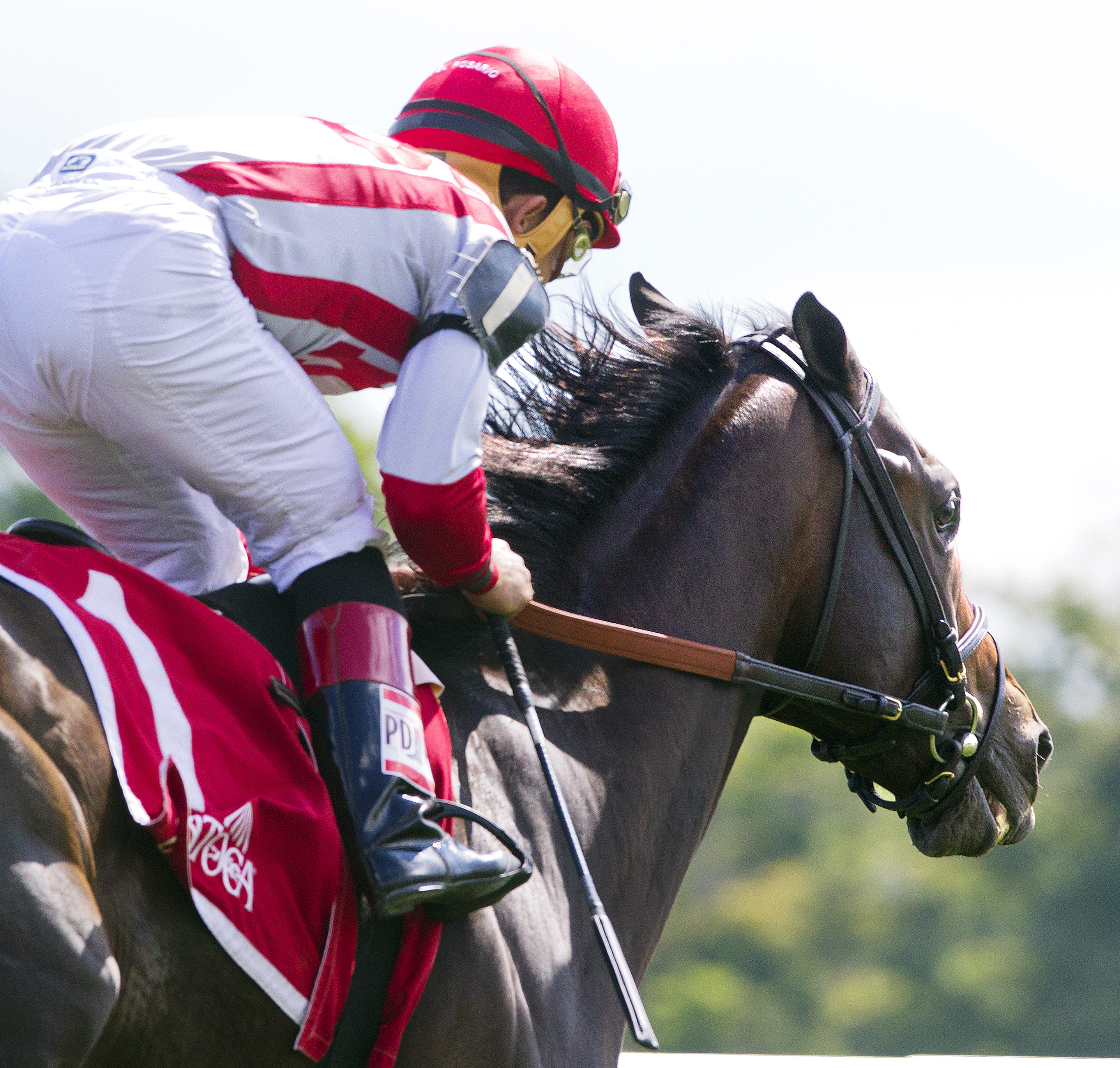Startup Nation wins the With Anticipation Stakes