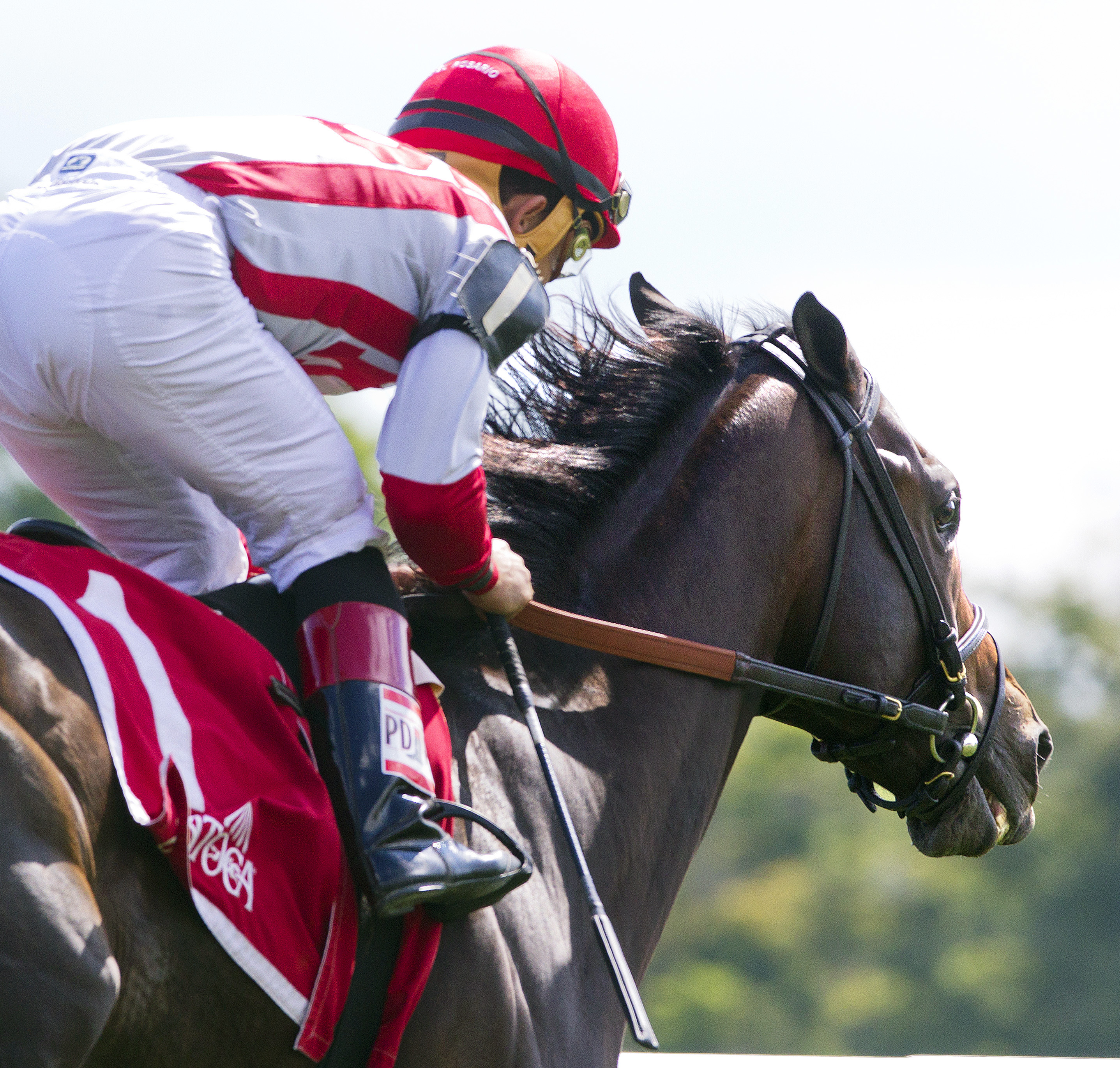 Startup Nation wins the With Anticipation Stakes