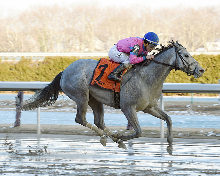 Startwithsilver wins the 2018 Broadway Stakes