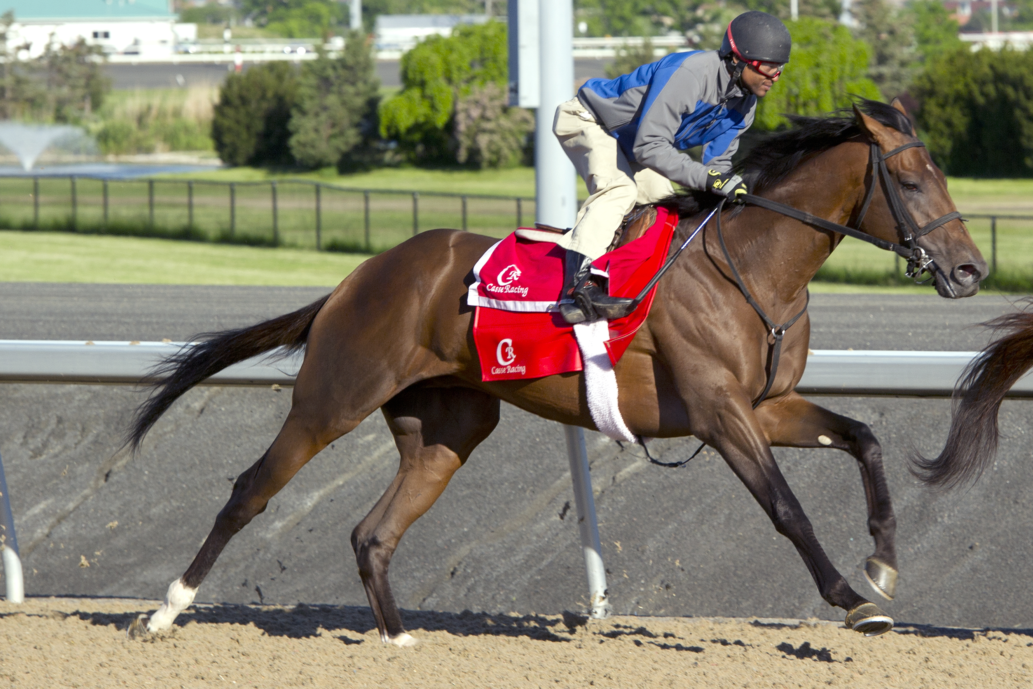 State of Honor trains at Woodbine on June 2