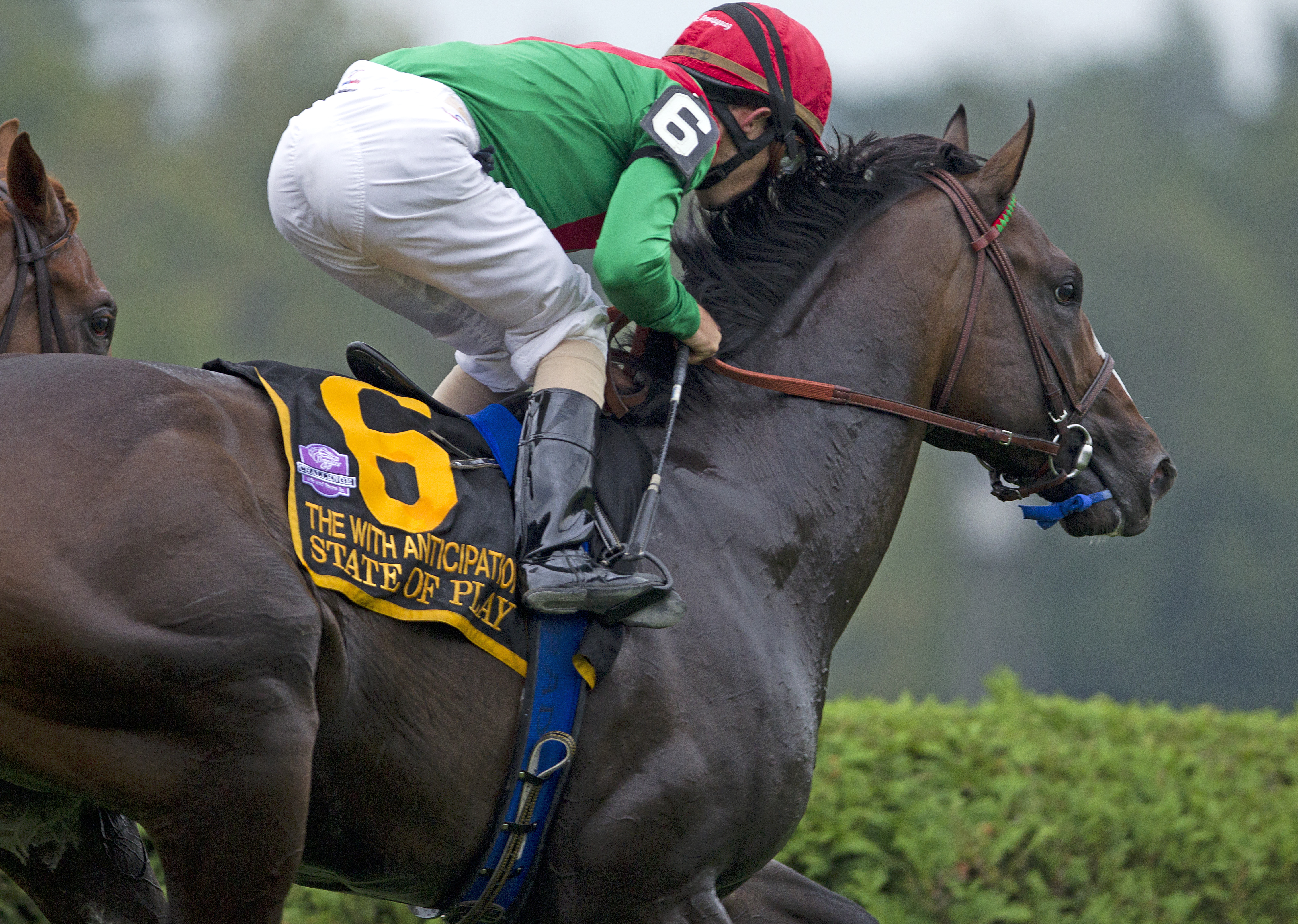 Turfway: State of Play looks to rebound in Battaglia