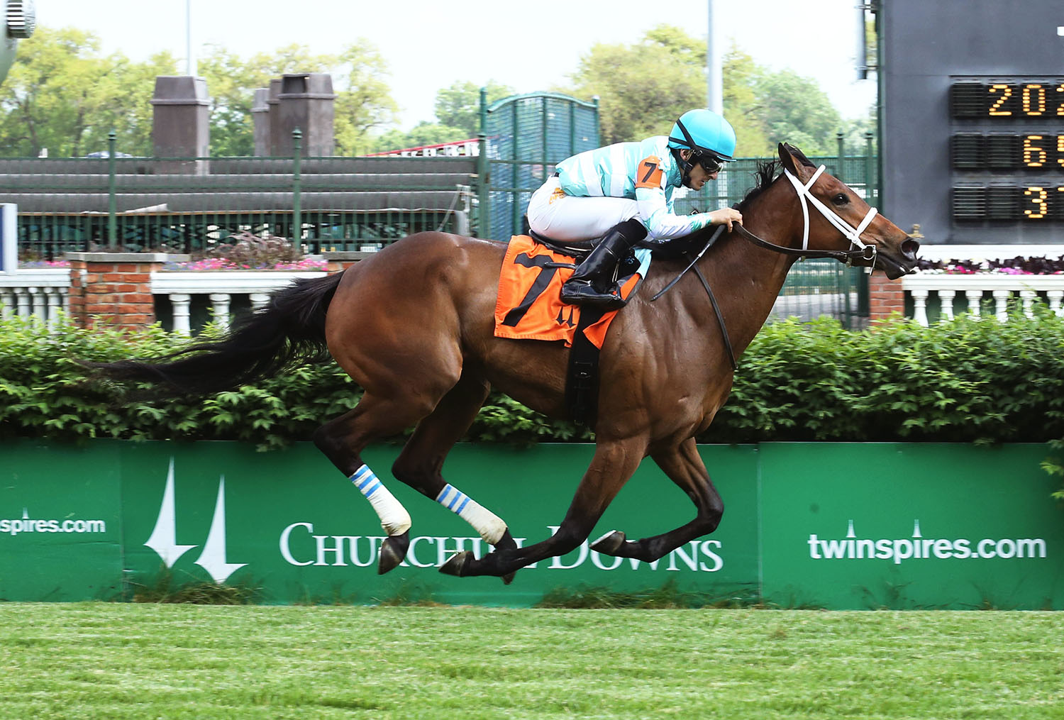 Stave wins a May 19 allowance race