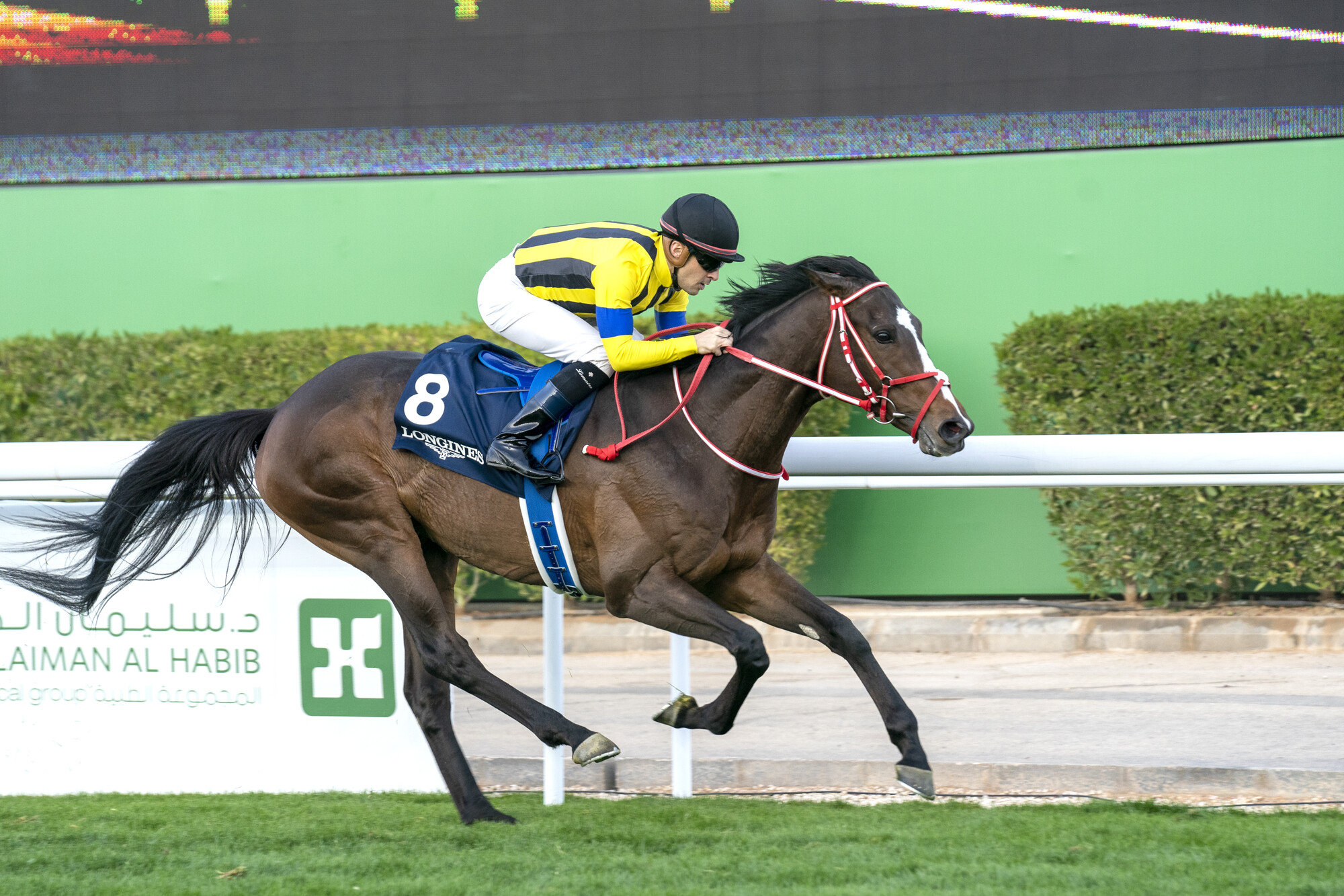 Stay Foolish wins the Red Sea Turf under Christophe Lemaire at King Abdulaziz.02.26.2022