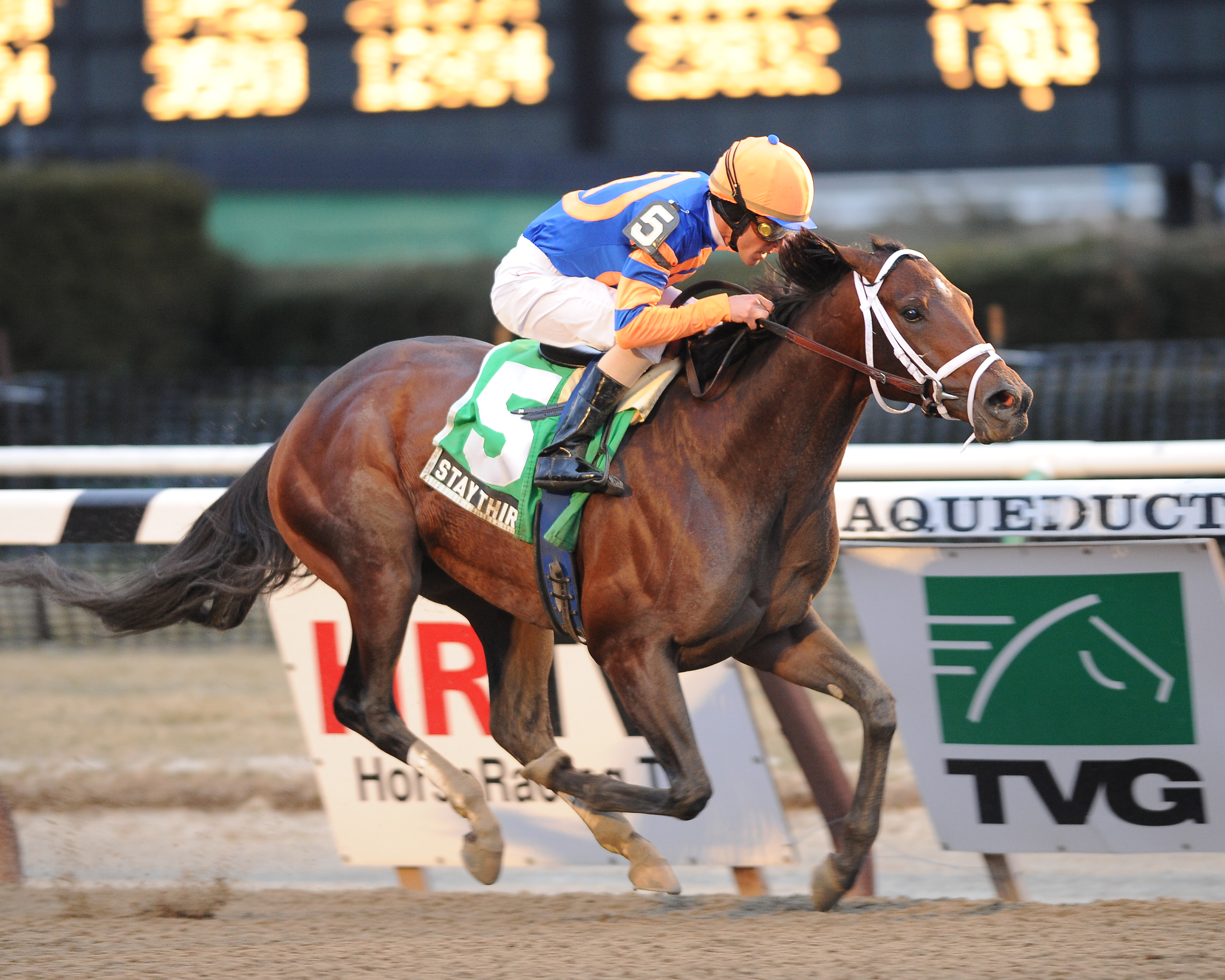 Stay Thirsty wins Gotham