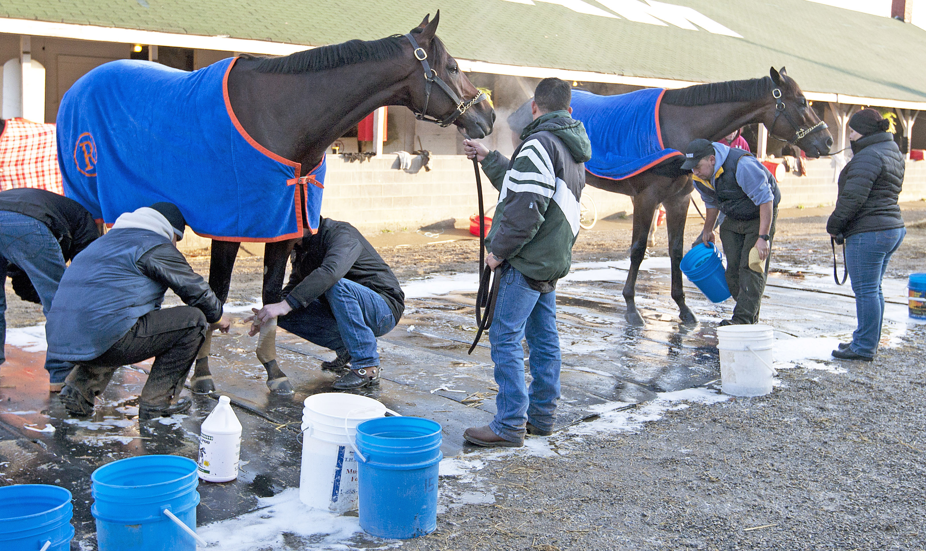 Stay Thirsty and Uncle Mo at Churchill Downs