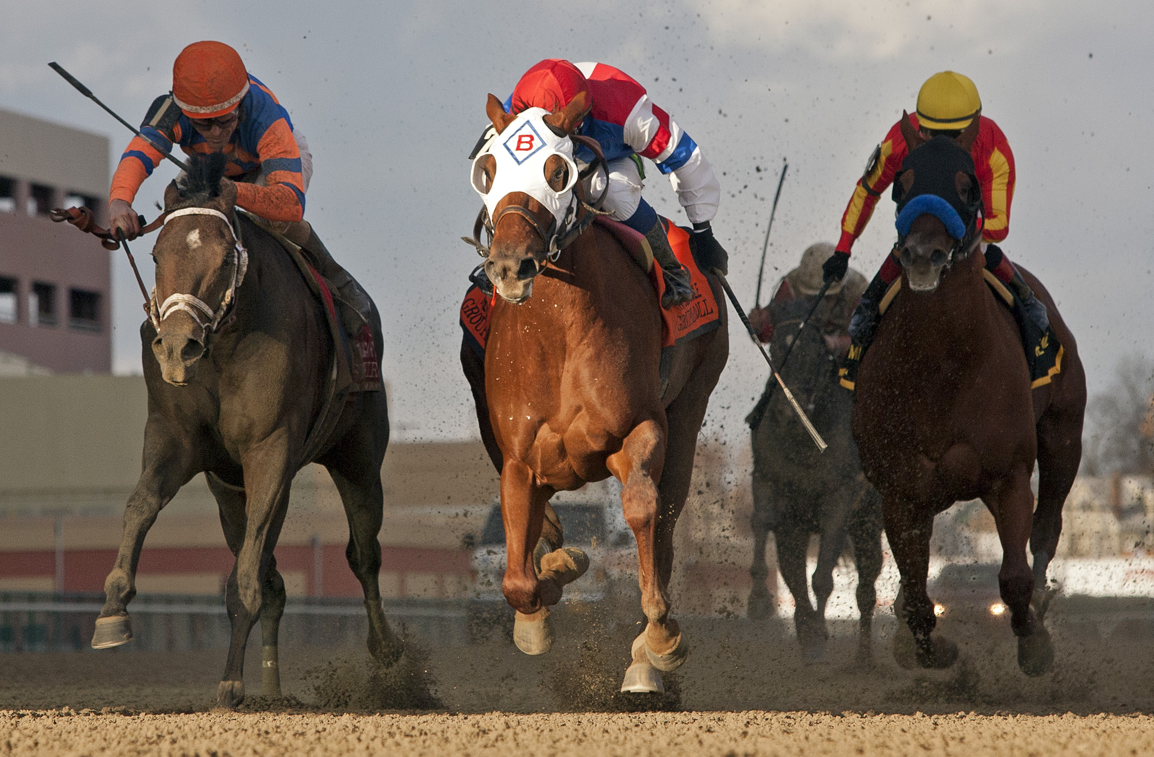 Stay Thirsty (left), Groupie Doll, Cigar Mile