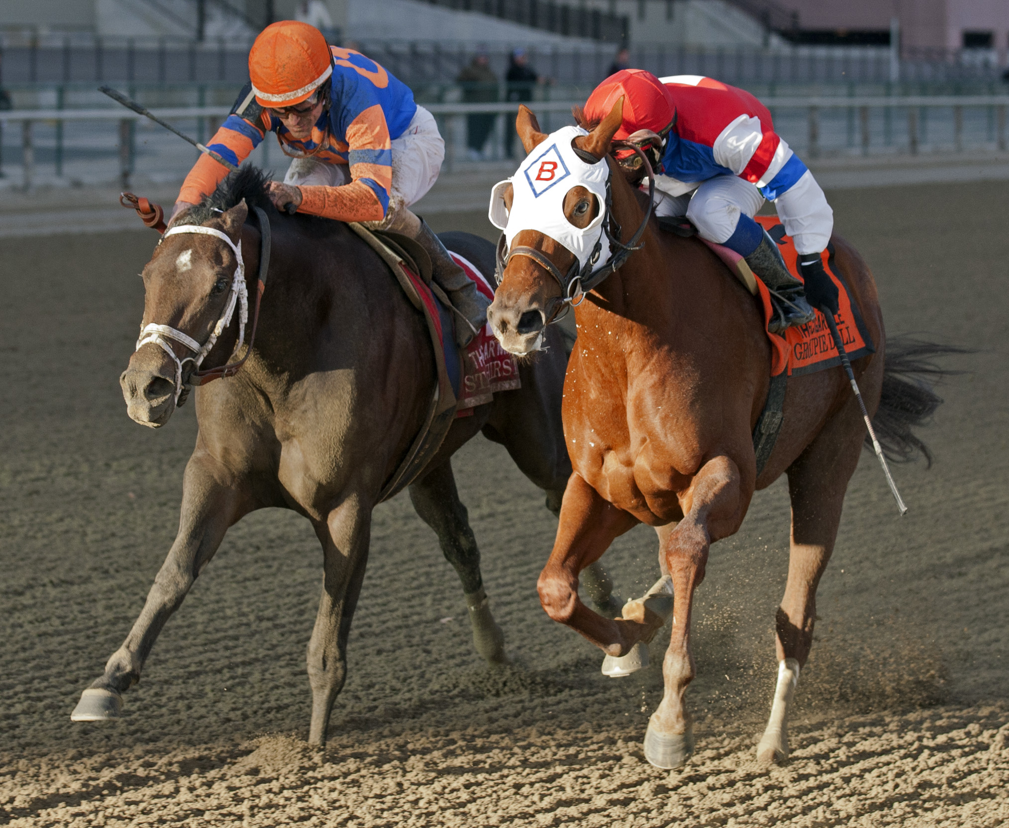 Stay Thirsty (left) beats Groupie Doll in Cigar Mile