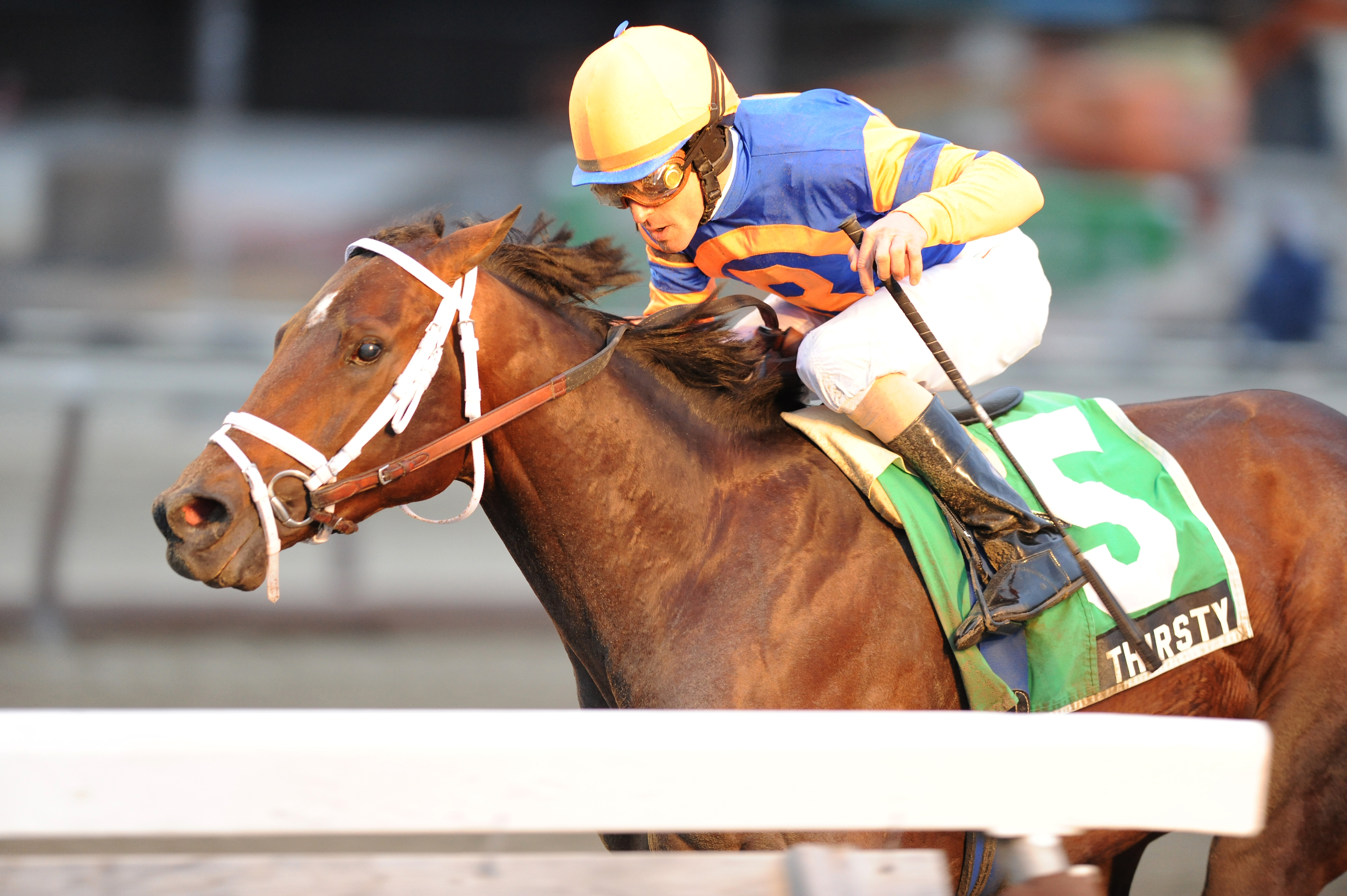 Kentucky Derby: Stay Thirsty to have Dominguez aboard