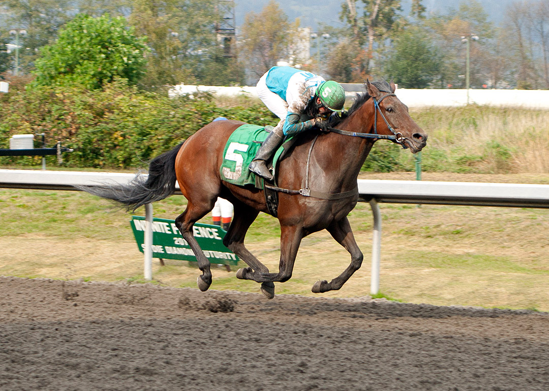 Stay Fantastic wins the 2020 S. W. Randall Plate Stakes at Hastings Racecourse