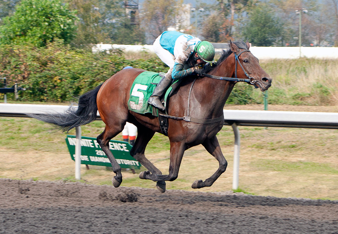 Stay Fantastic wins the 2020 S. W. Randall Plate Stakes at Hastings Racecourse