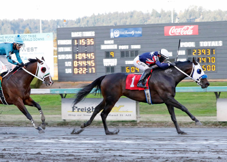 Stay in Grace wins a Sept. 20 claiming race at Emerald Downs